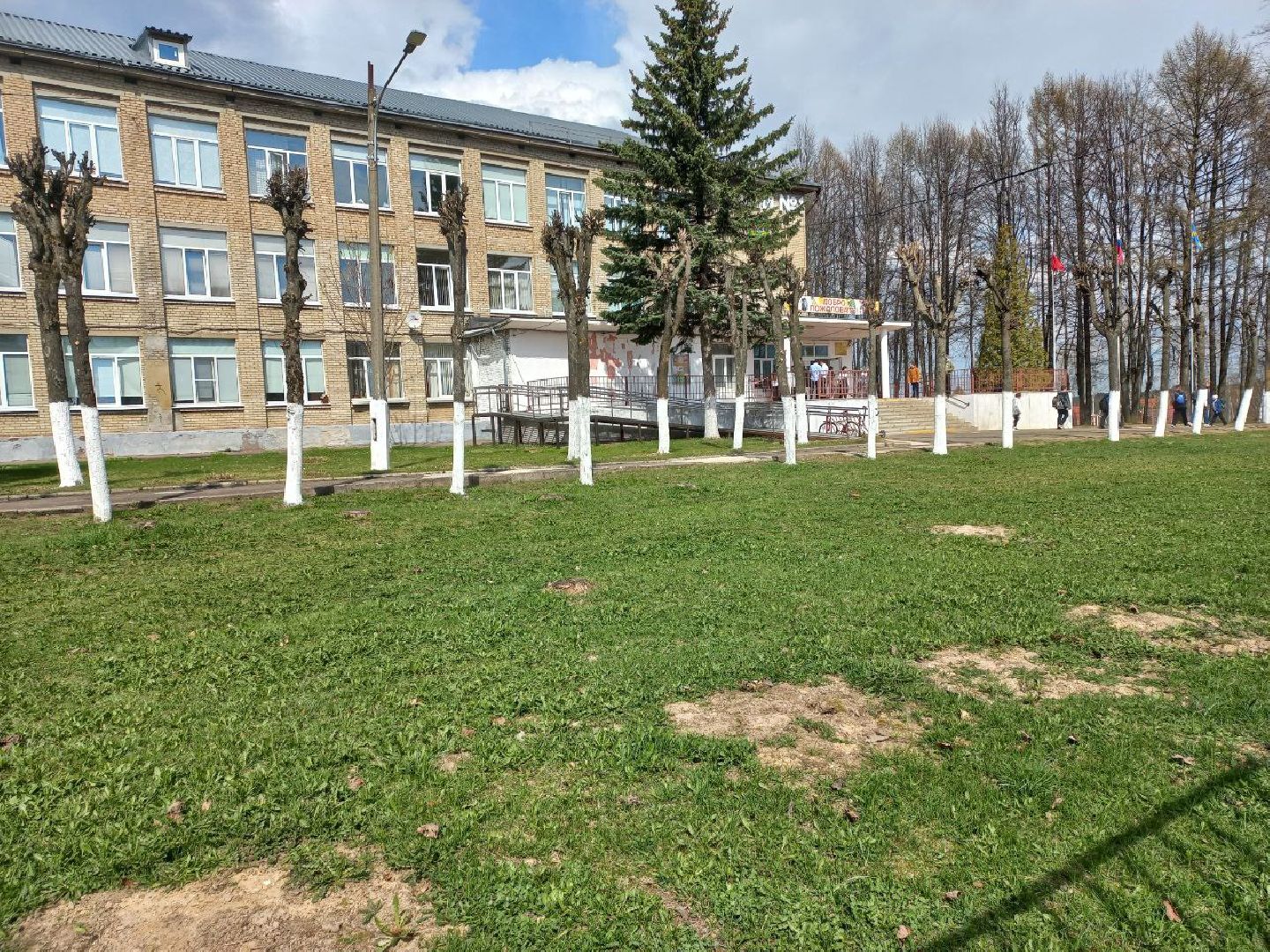 Солнечногорск, благоустройство, деревья, сухостой, школа