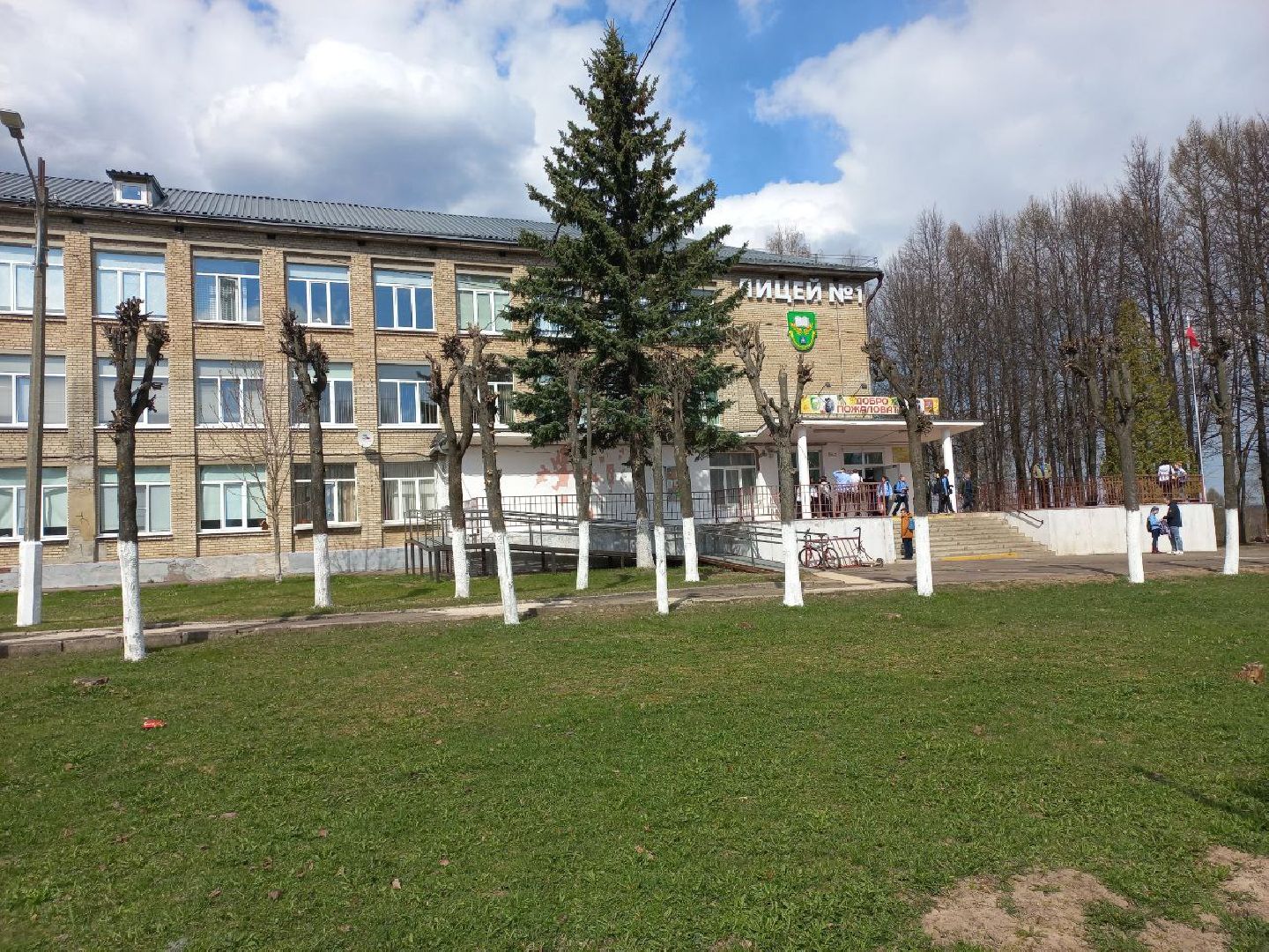 Солнечногорск, благоустройство, деревья, сухостой, школа