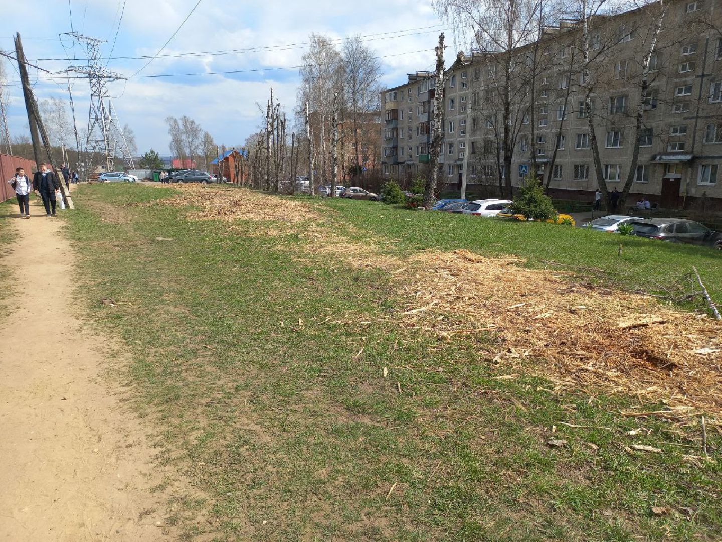 Солнечногорск, благоустройство, деревья, сухостой, школа