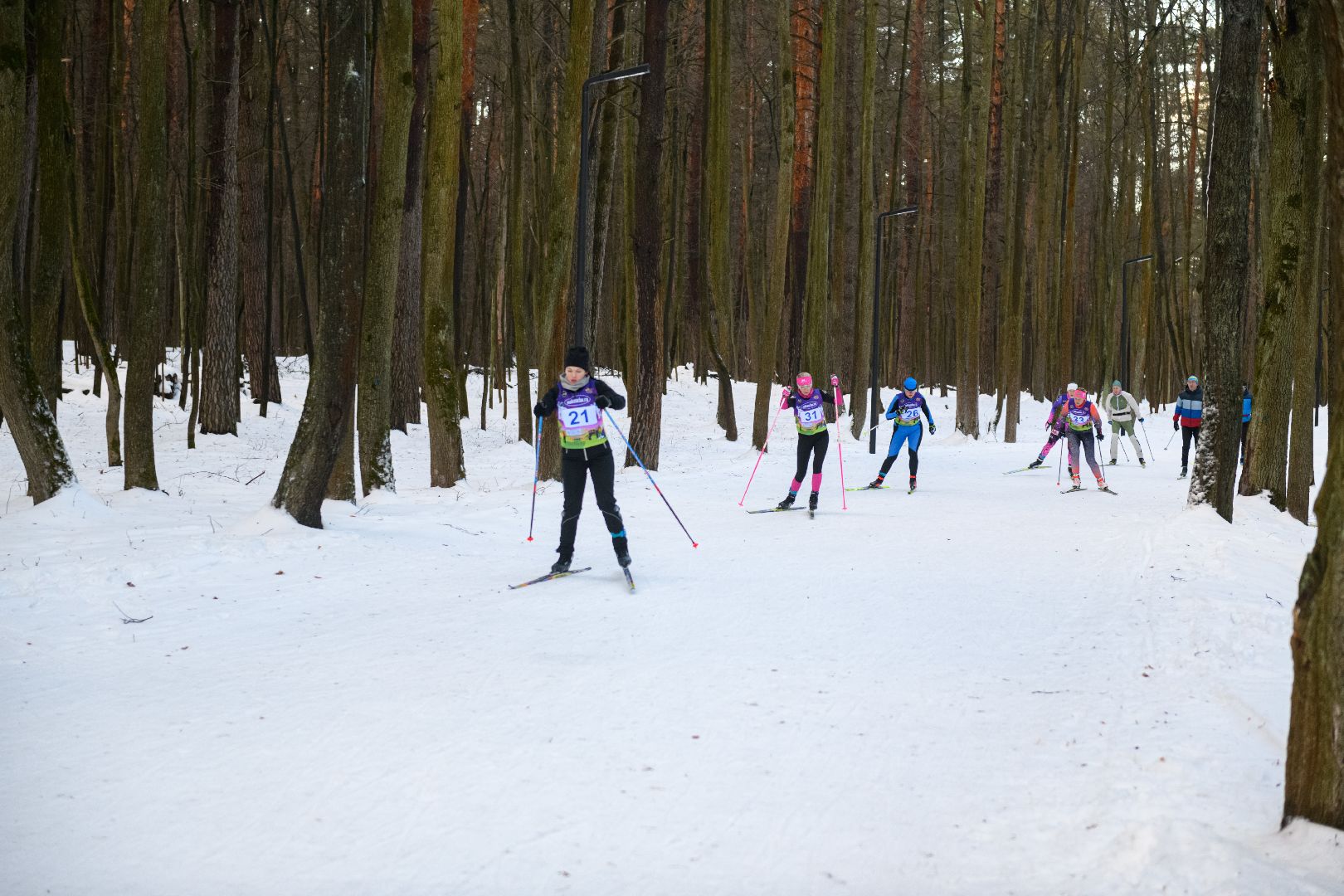 спорт, лыжные гонки, волкуша, лыткарино, открытие лыжного сезона, вертикалки,