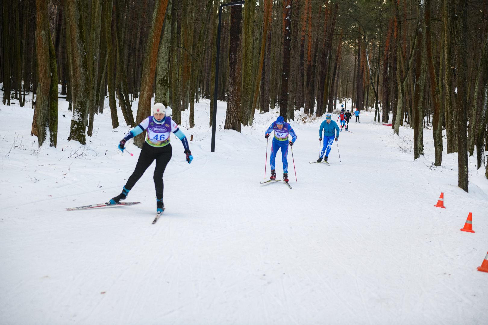 спорт, лыжные гонки, волкуша, лыткарино, открытие лыжного сезона, вертикалки,