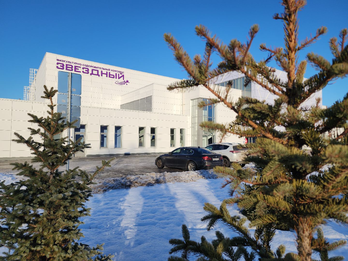 вертикалки, ледовая арена, орехово зуево, хоккей,