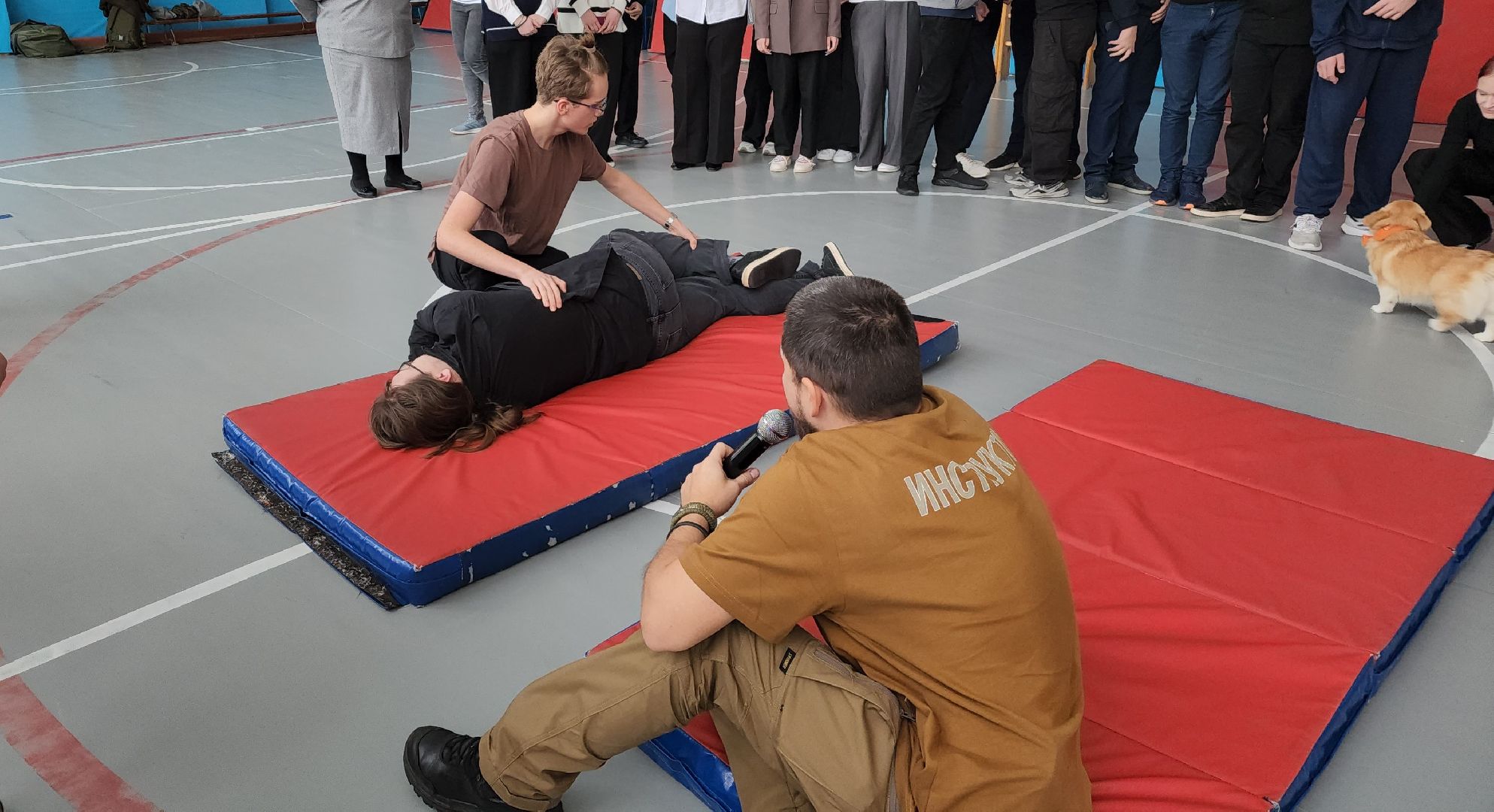 школа, образование, уроки тактической медицины, первая помощь, Лосино-Петровский,