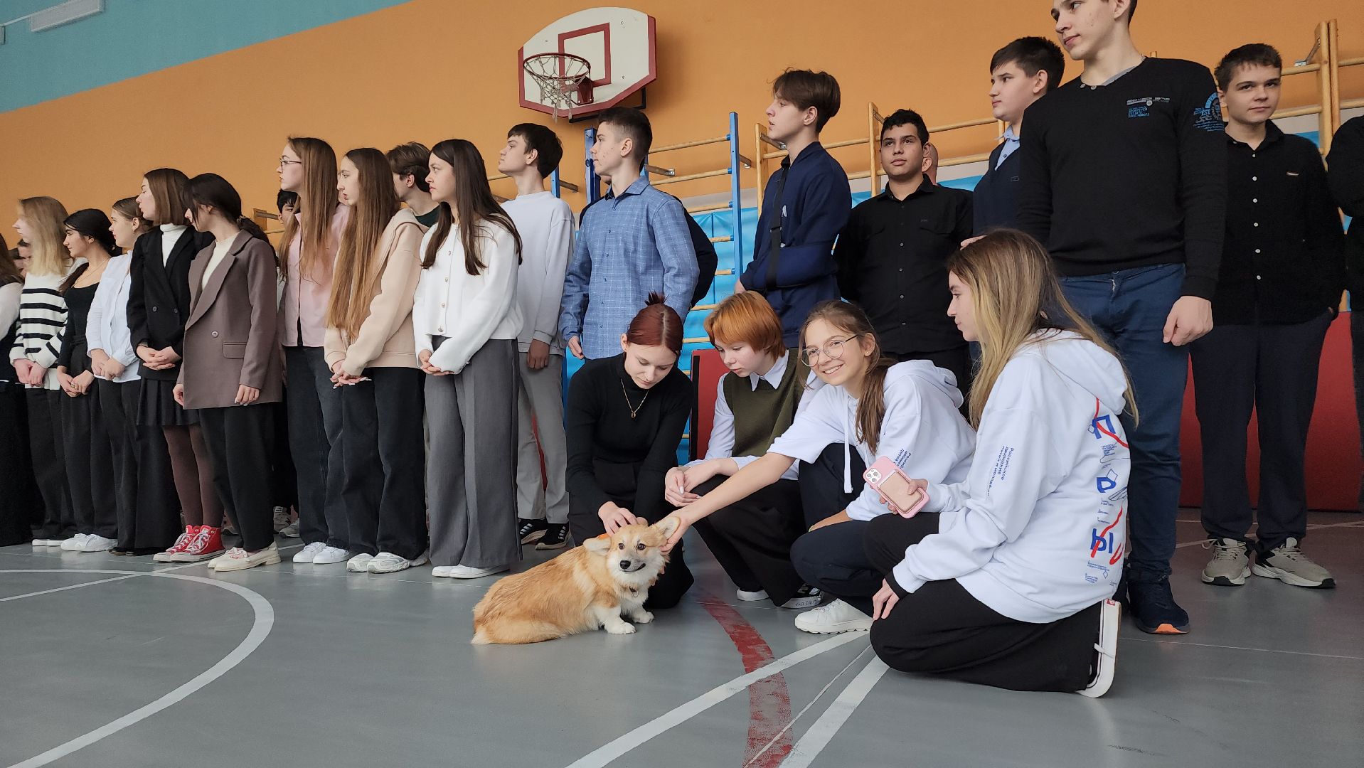 школа, образование, уроки тактической медицины, первая помощь, Лосино-Петровский,