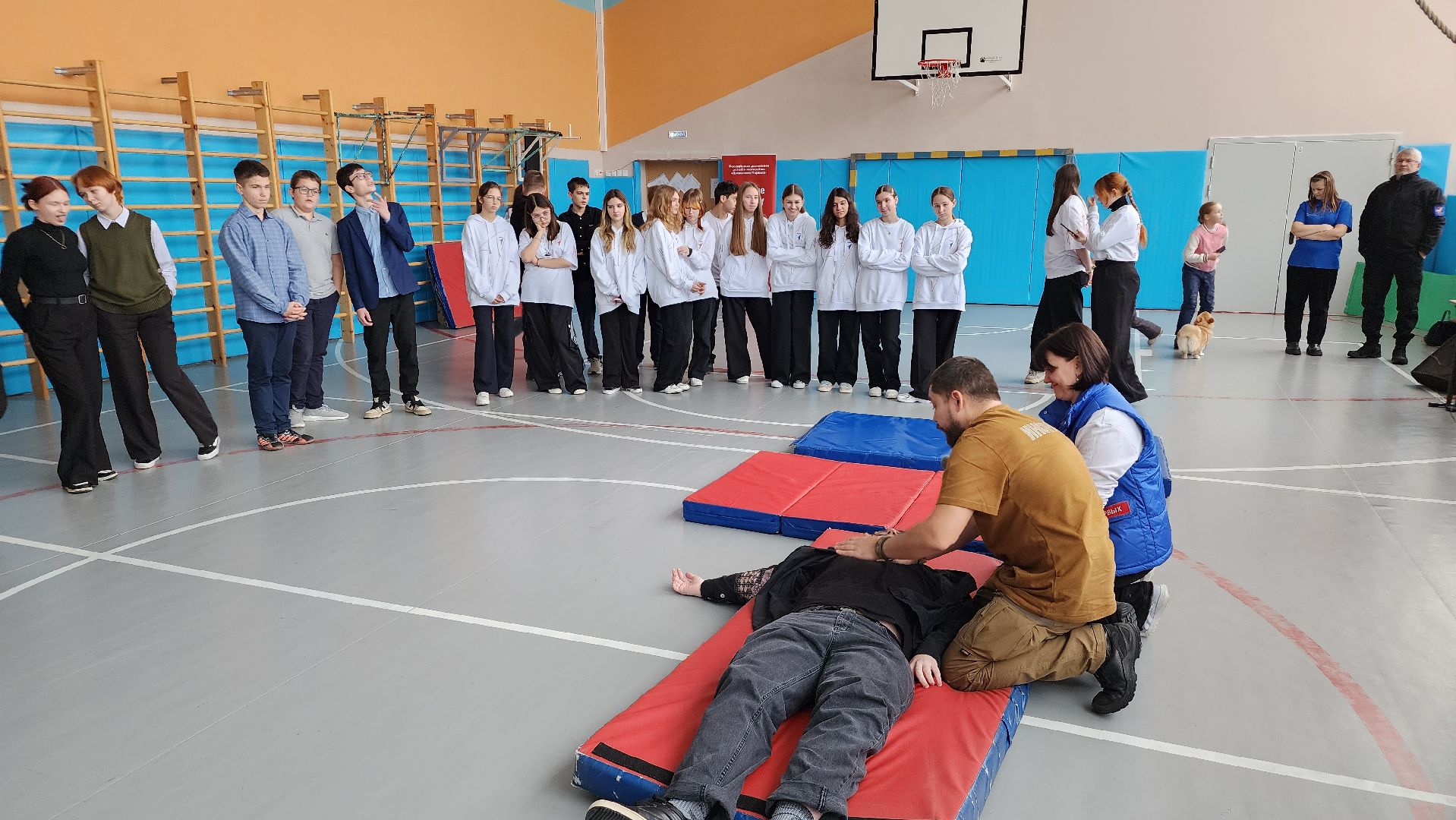 школа, образование, уроки тактической медицины, первая помощь, Лосино-Петровский,