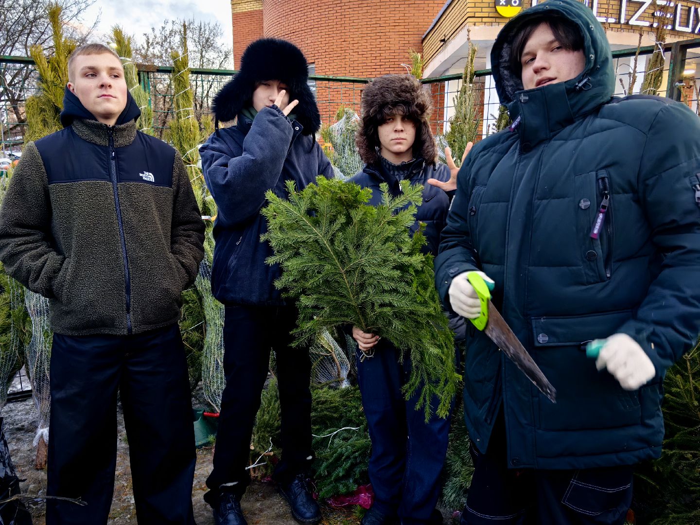 елочный базар, лапник, сосна, пихта, ель, вертикалки