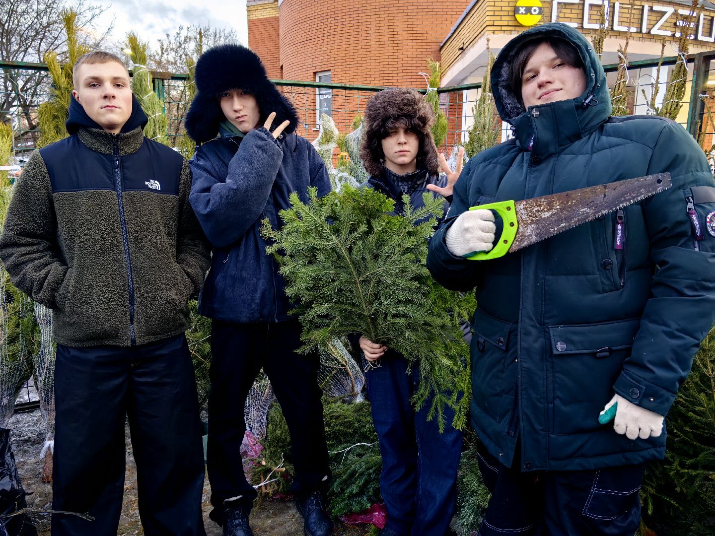 елочный базар, лапник, сосна, пихта, ель, вертикалки
