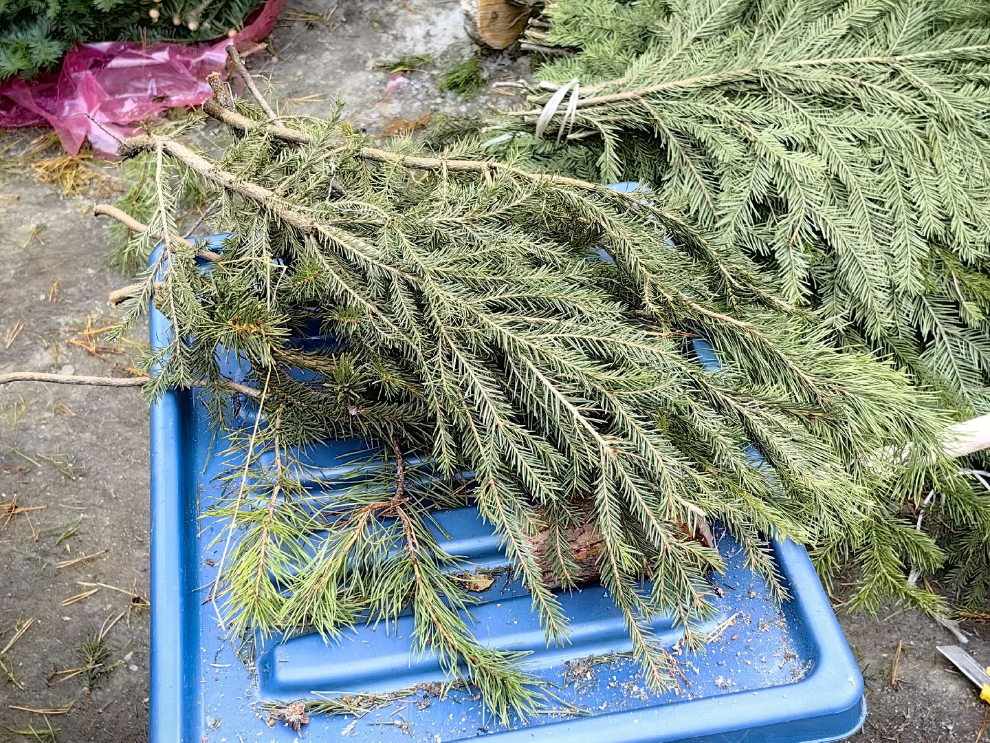 елочный базар, лапник, сосна, пихта, ель, вертикалки