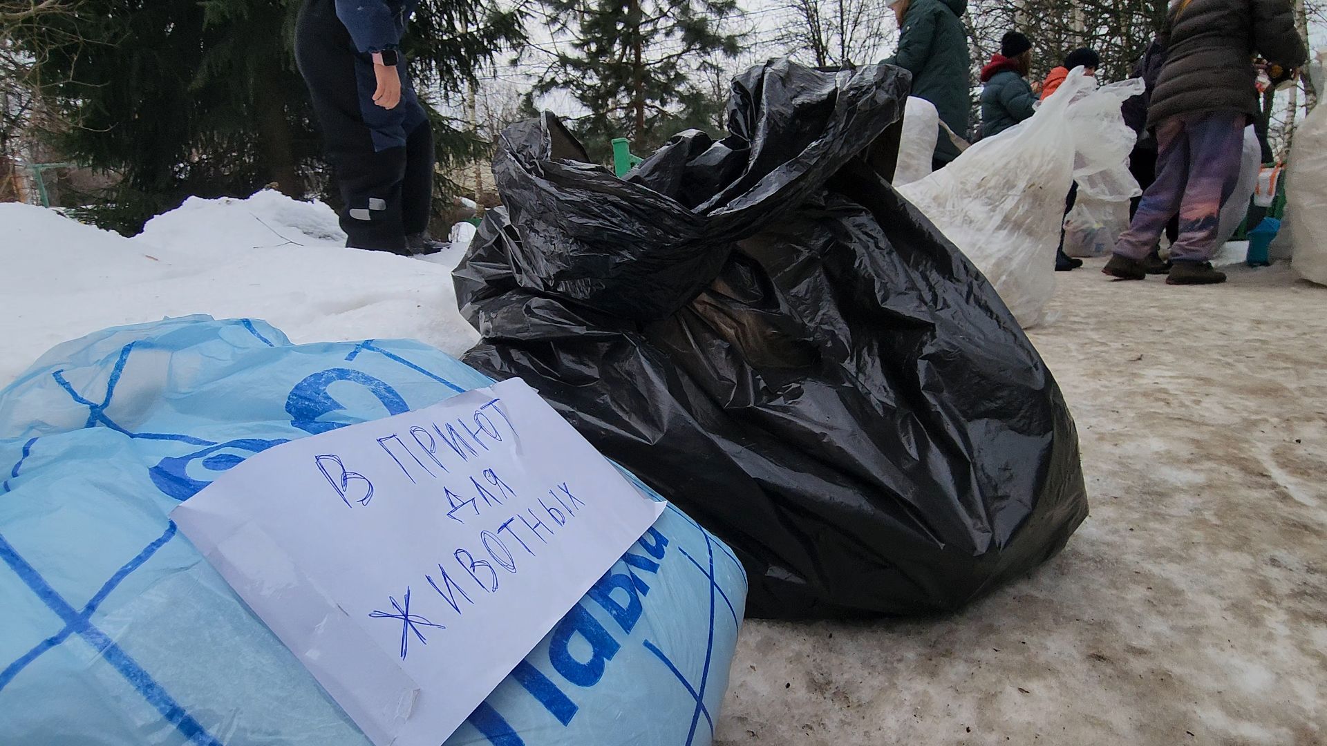 Одинцово, лесной городок, экология, разлельный сбор отходов,