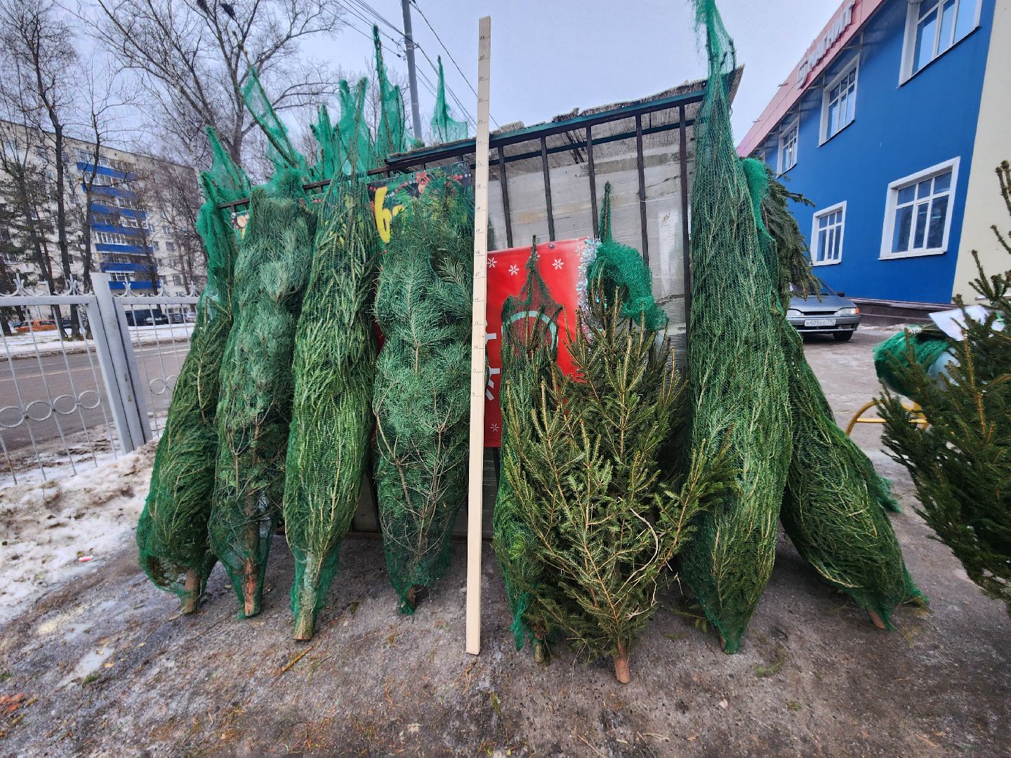 Пущино, новый год, серпухов, зима в подмомсковье,