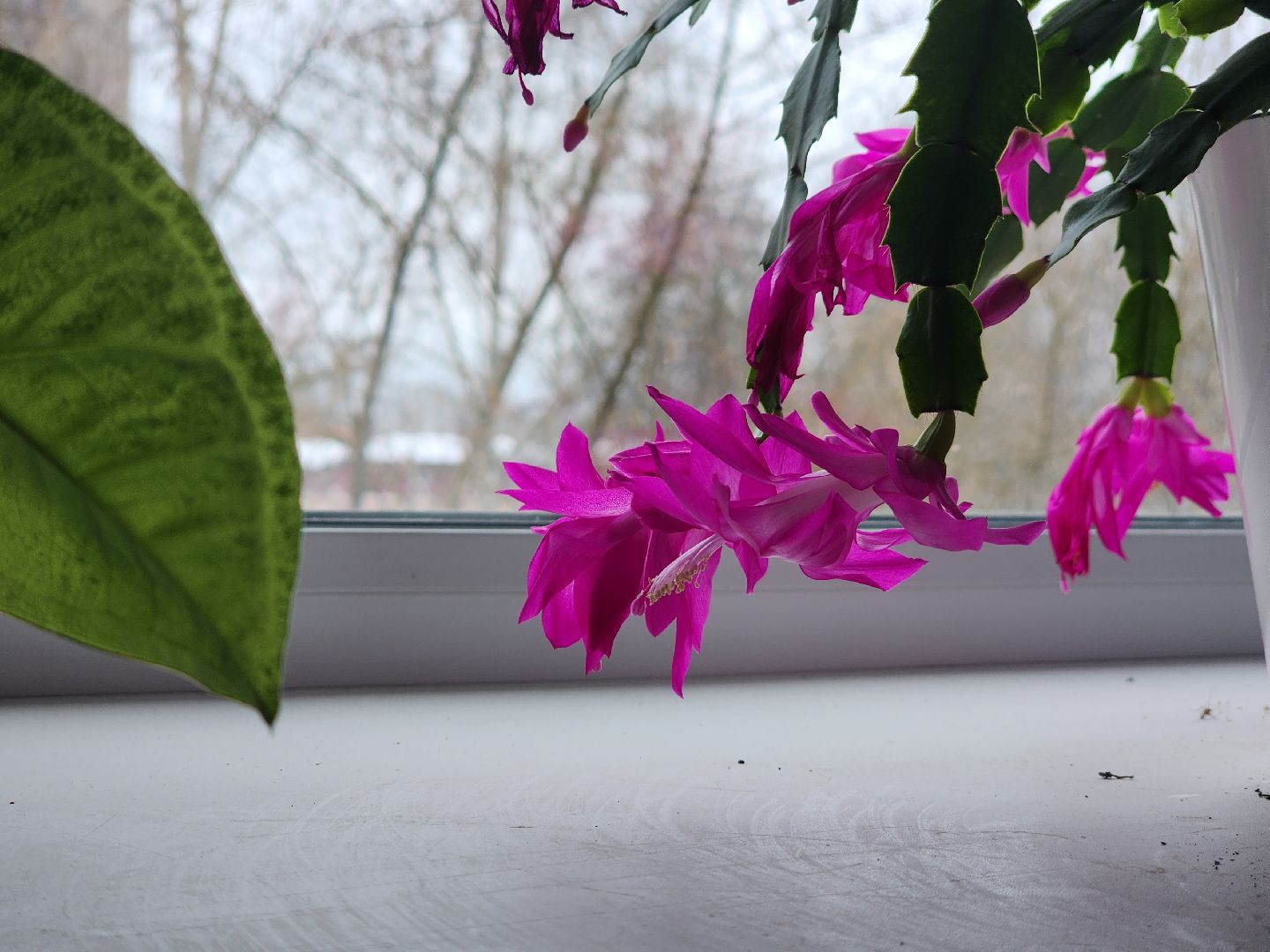 Дубна, Новый год, Новогодние украшения, ЖКХ, Подъезды, вертикалки,