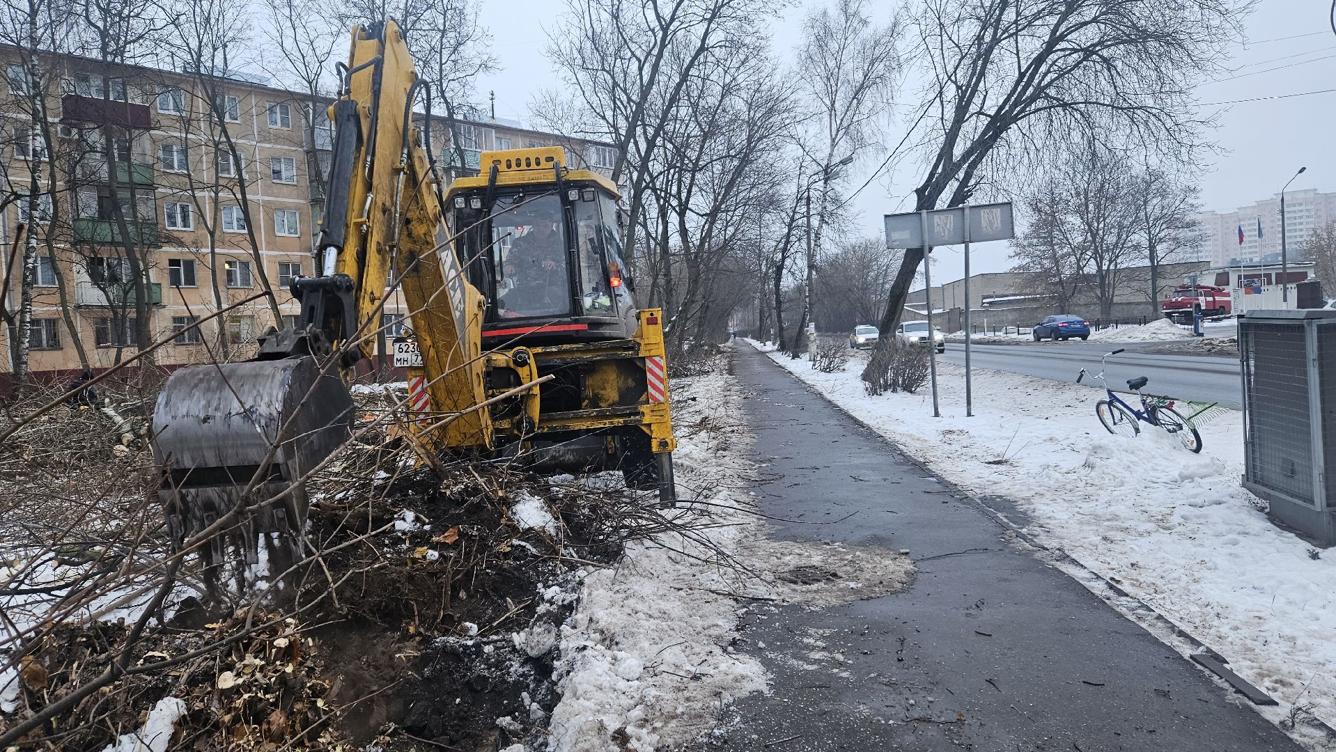 Сухостой, Деревья, Жуковский, вертикалки,