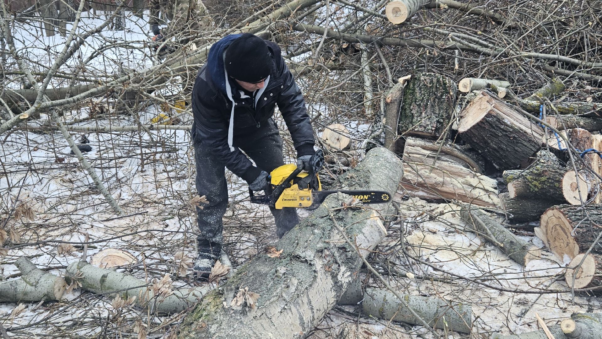 Сухостой, Деревья, Жуковский, вертикалки,