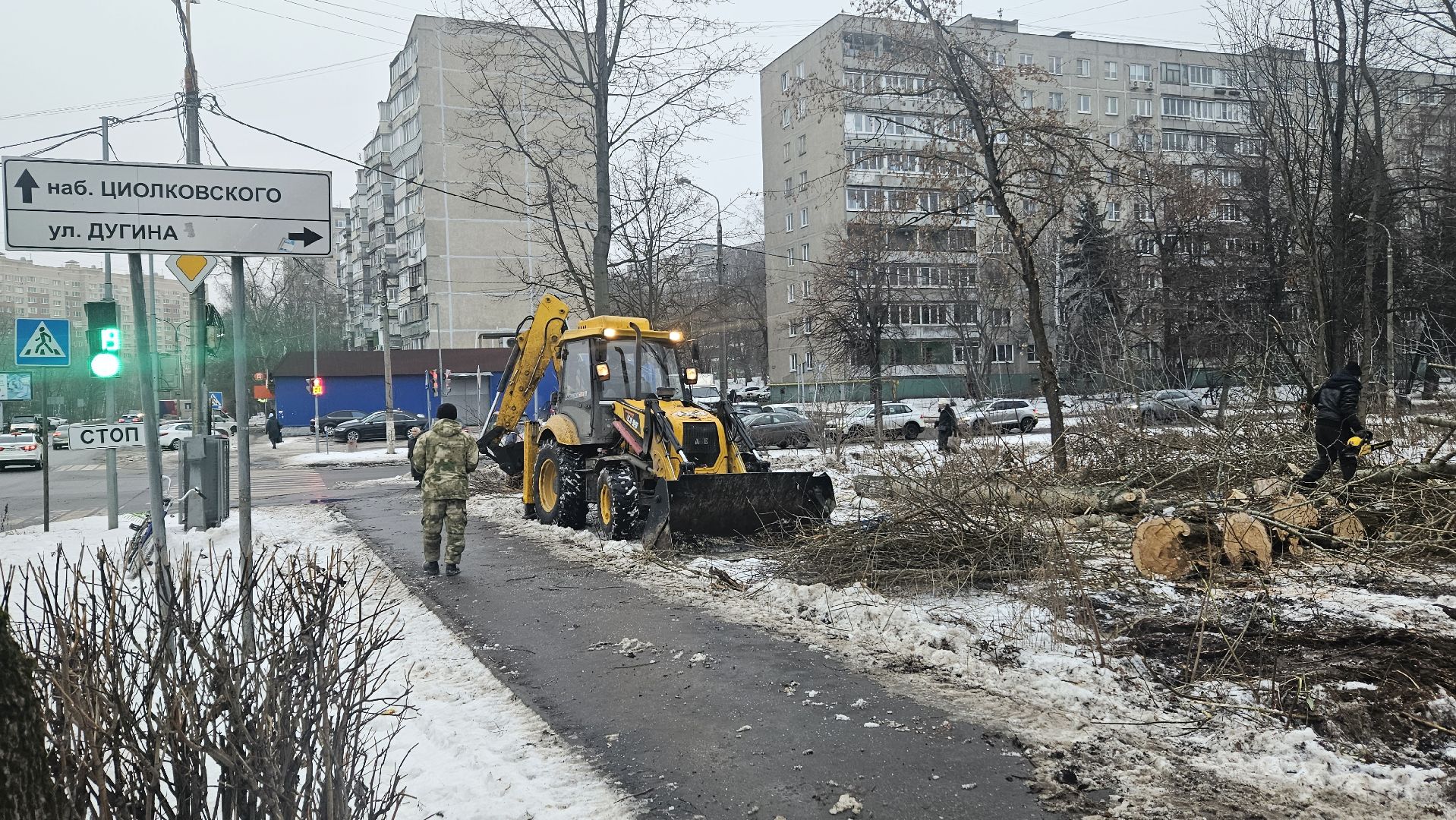 Сухостой, Деревья, Жуковский, вертикалки,