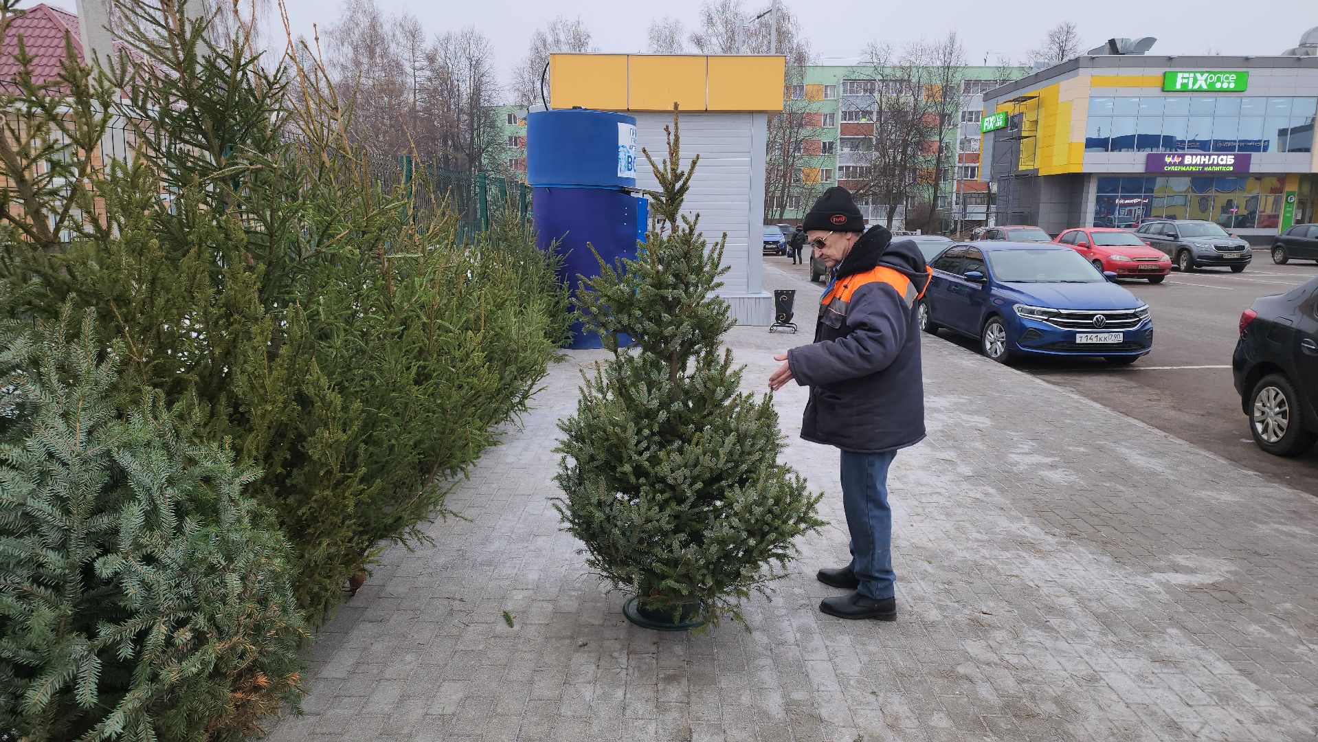 кашира, елочный базар, ель, сосна, вертикалки,