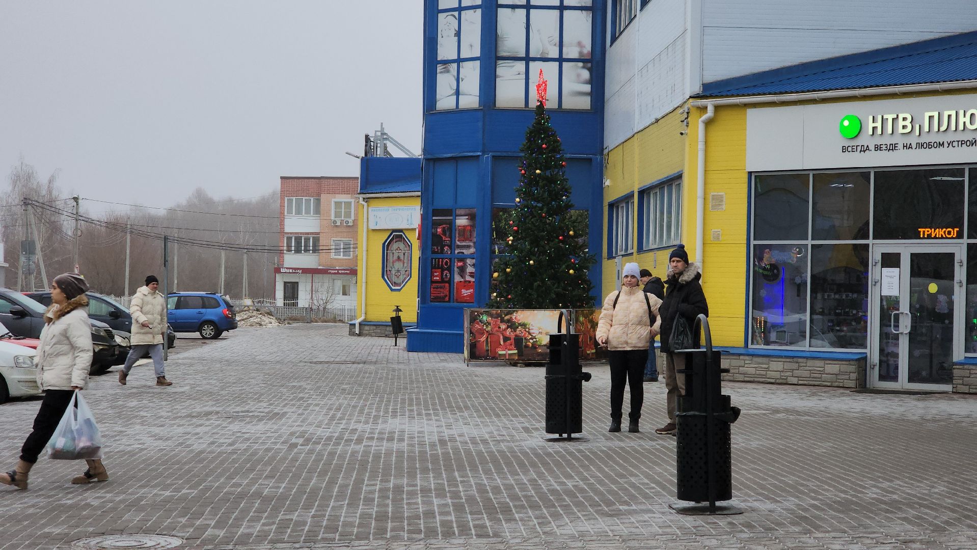 кашира, елочный базар, ель, сосна, вертикалки,