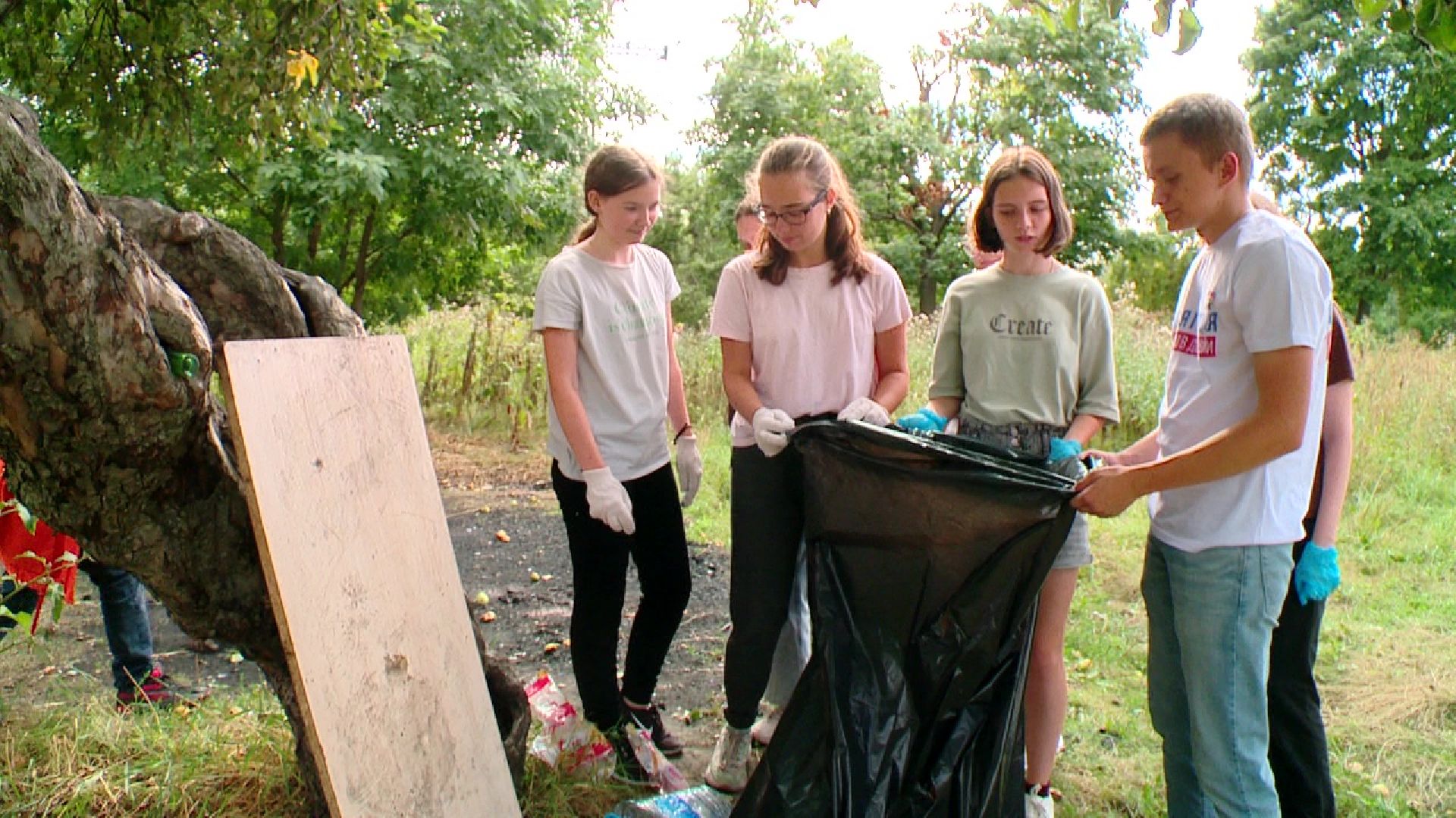 вертикалки,