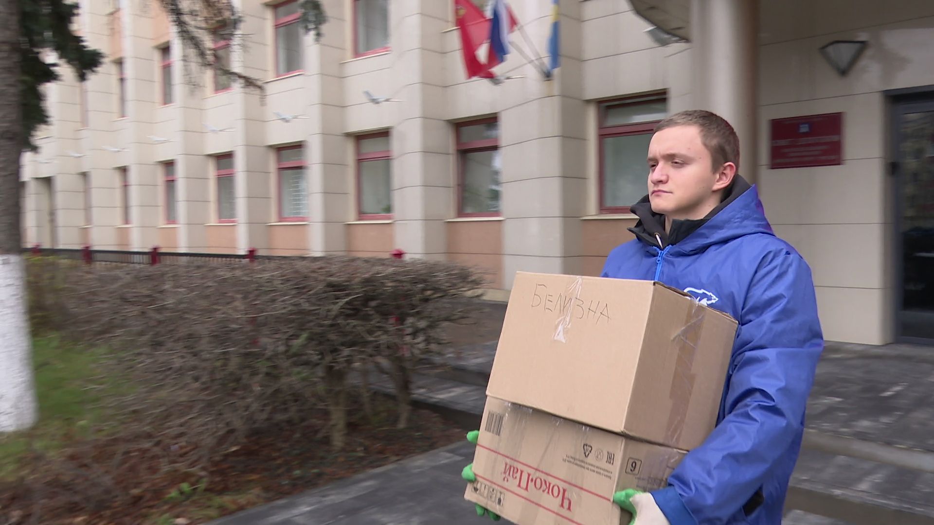 вертикалки,