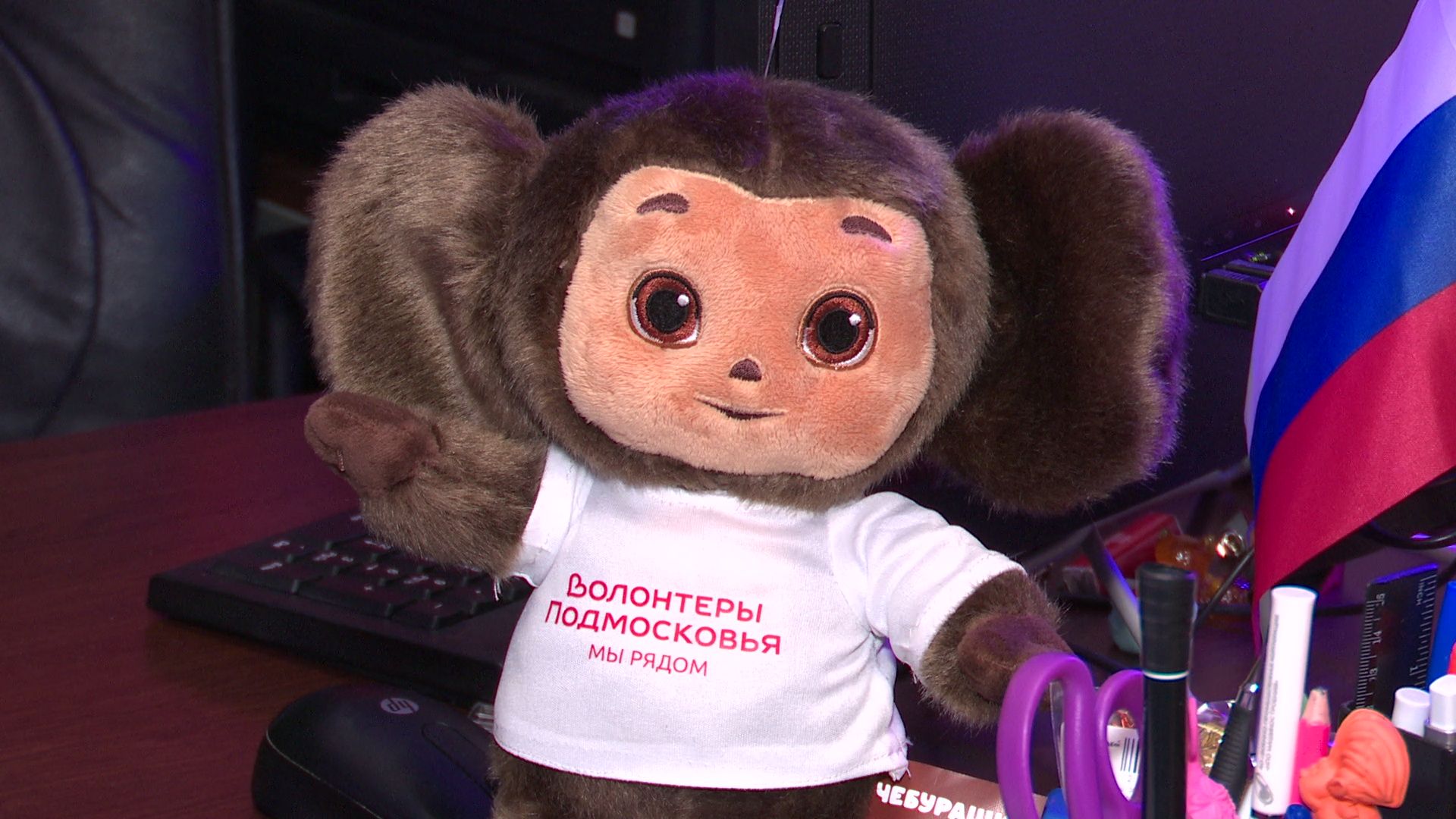 вертикалки,