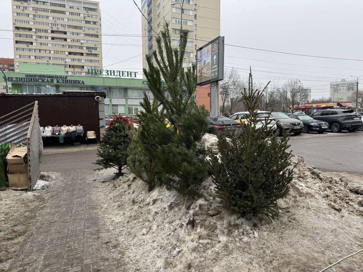 Елочные базары,зима в подмосковье,Сосны и ели,ленинский городской округ,