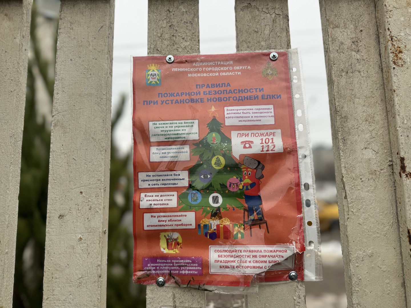 Елочные базары,зима в подмосковье,Сосны и ели,ленинский городской округ,