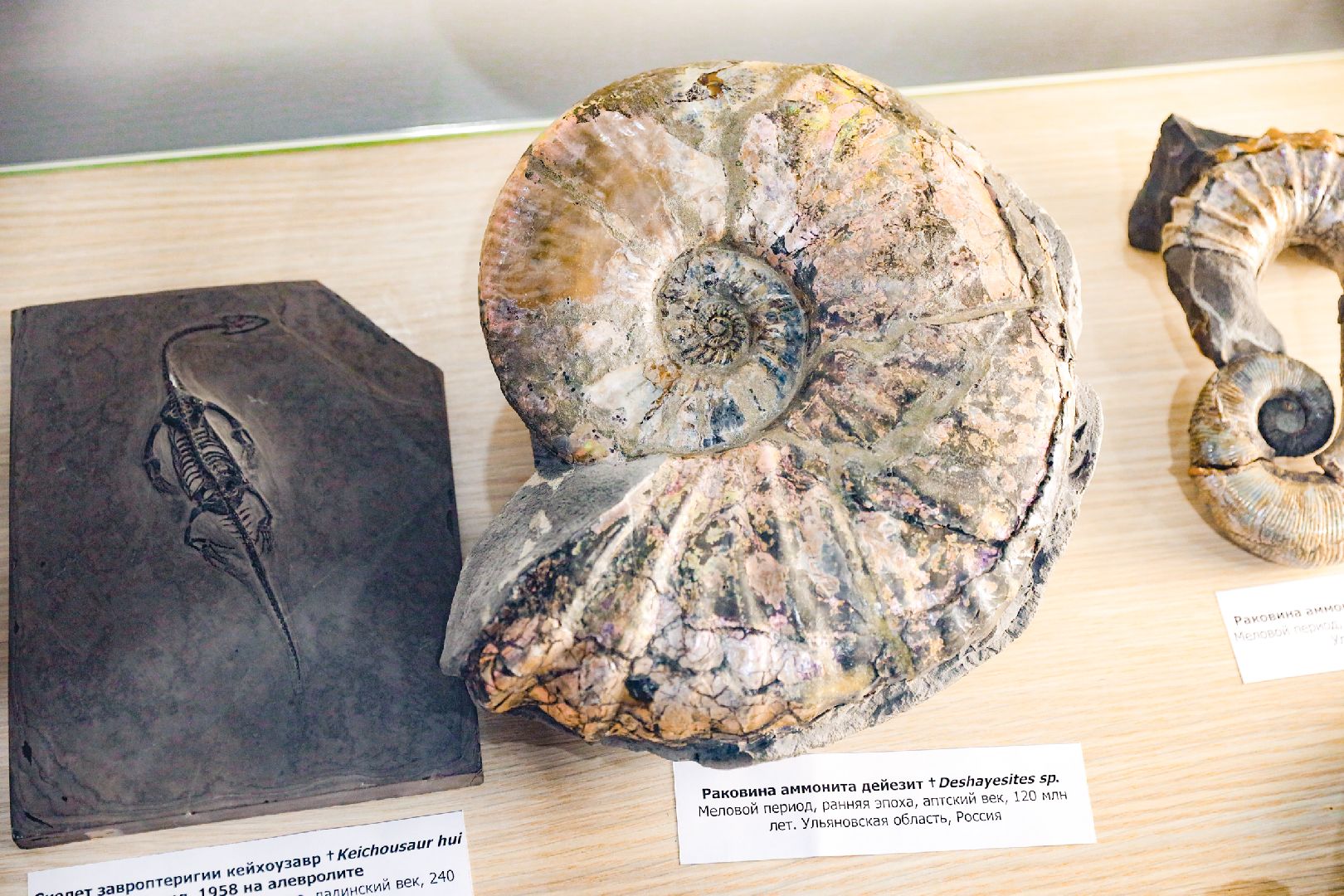 музей, история, химки,