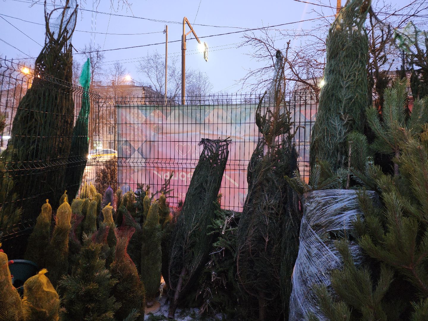 Новый год, елочный базар, новогоднее настроение, вертикалки, зима в подмосковье,