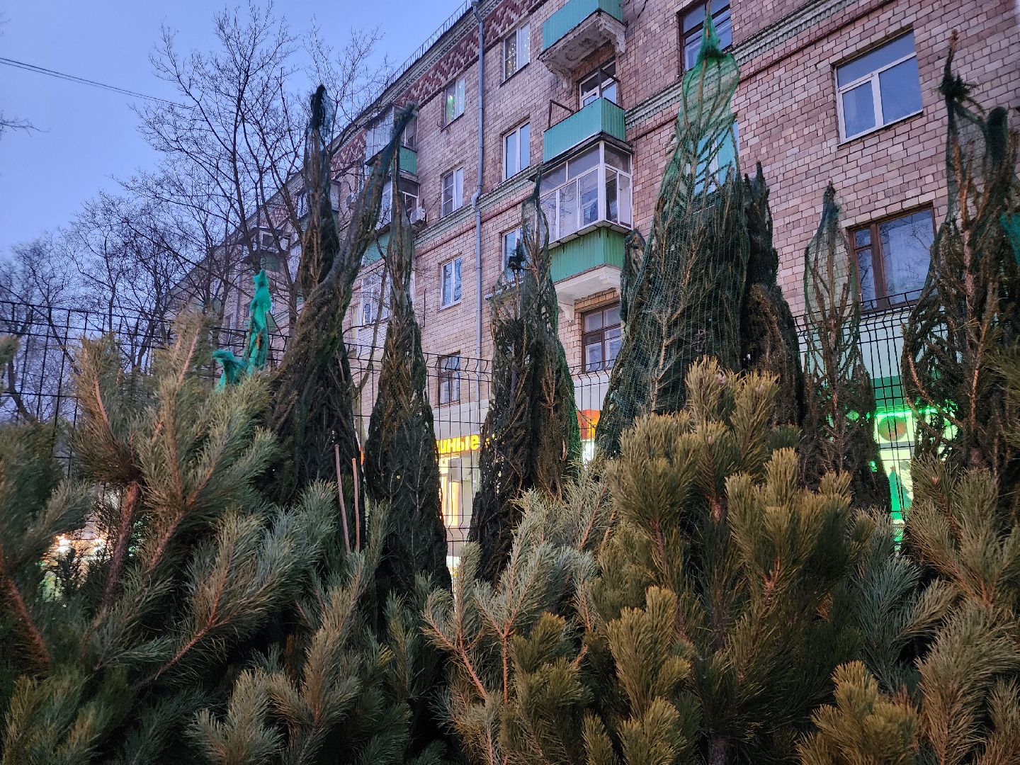 Новый год, елочный базар, новогоднее настроение, вертикалки, зима в подмосковье,