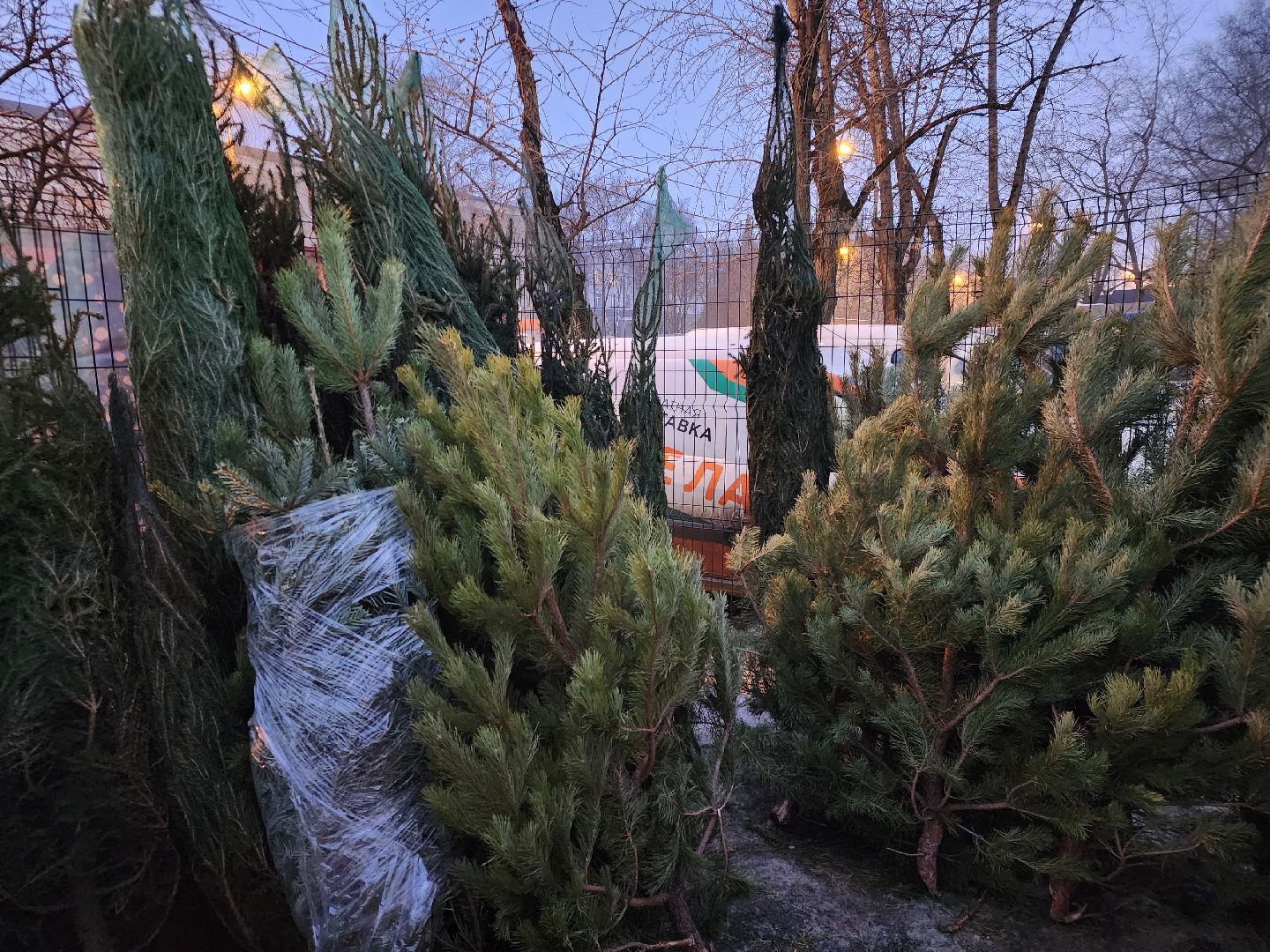 Новый год, елочный базар, новогоднее настроение, вертикалки, зима в подмосковье,