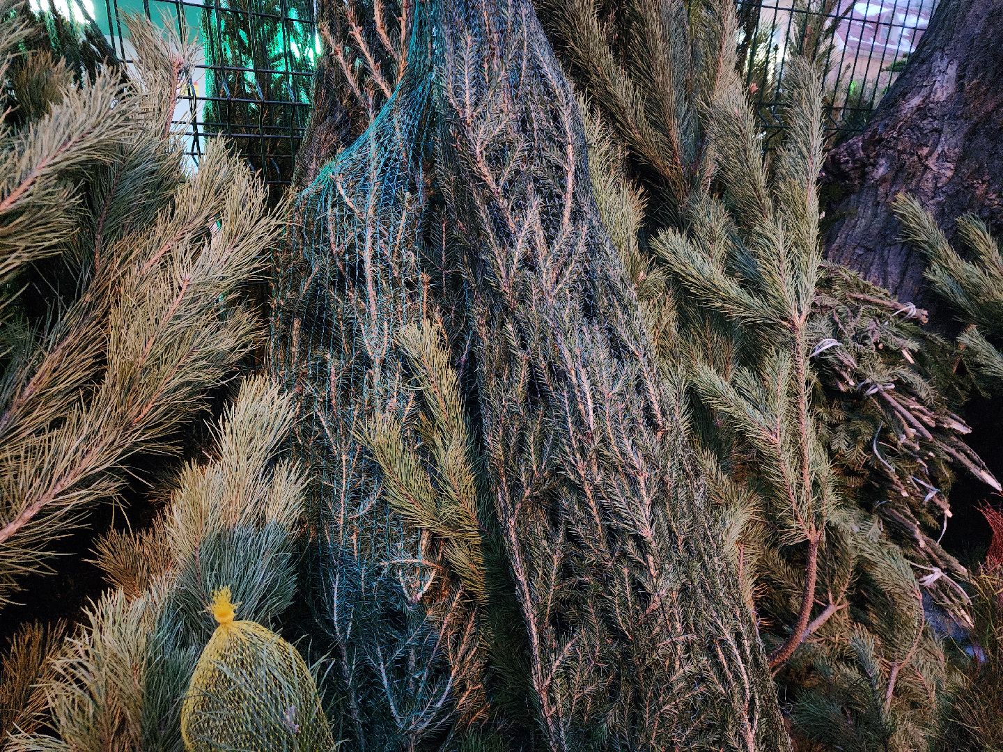 Новый год, елочный базар, новогоднее настроение, вертикалки, зима в подмосковье,