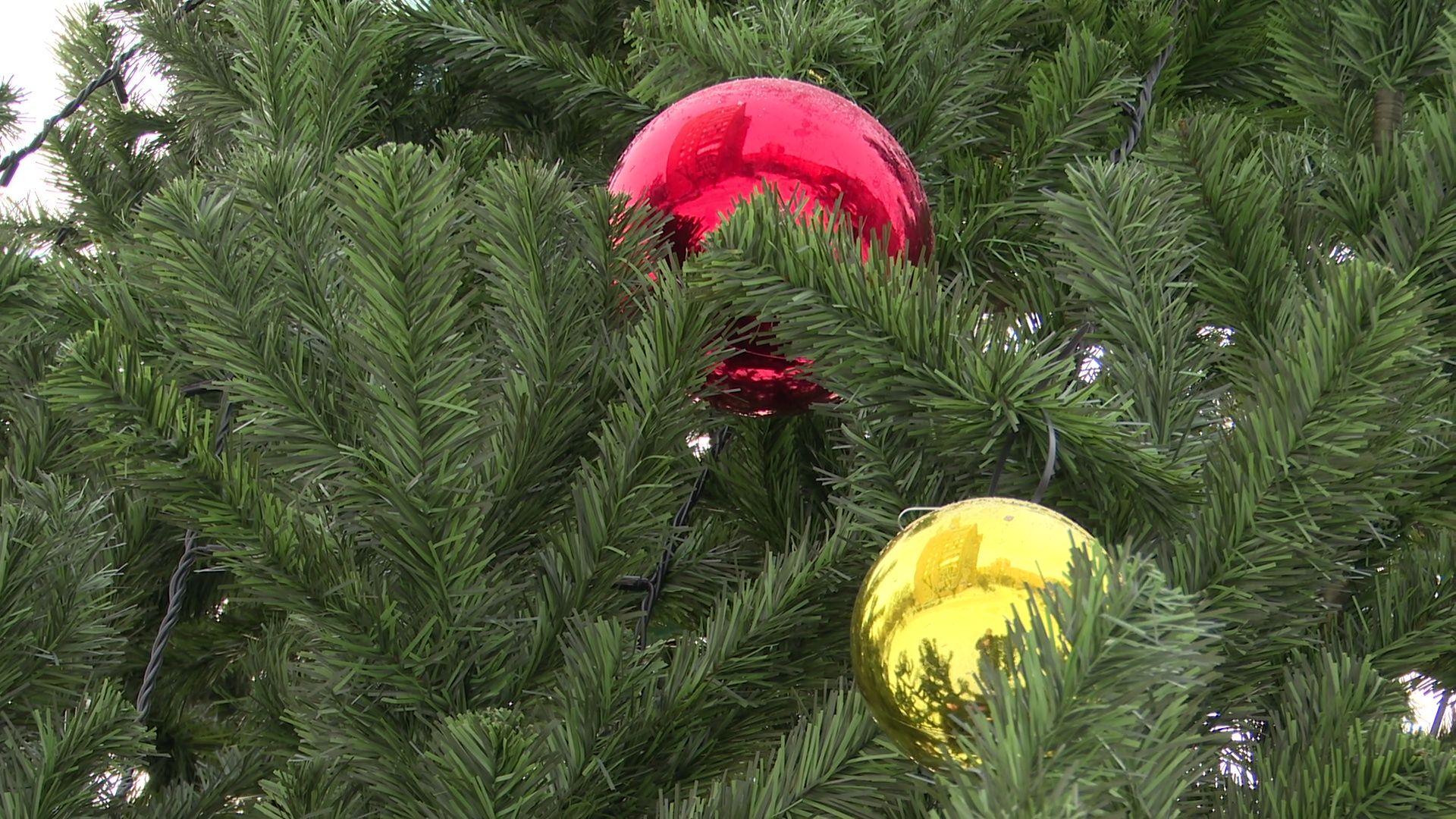 Реутов, вертикалки, каток, горка, новогодняя ель, заливка льда,