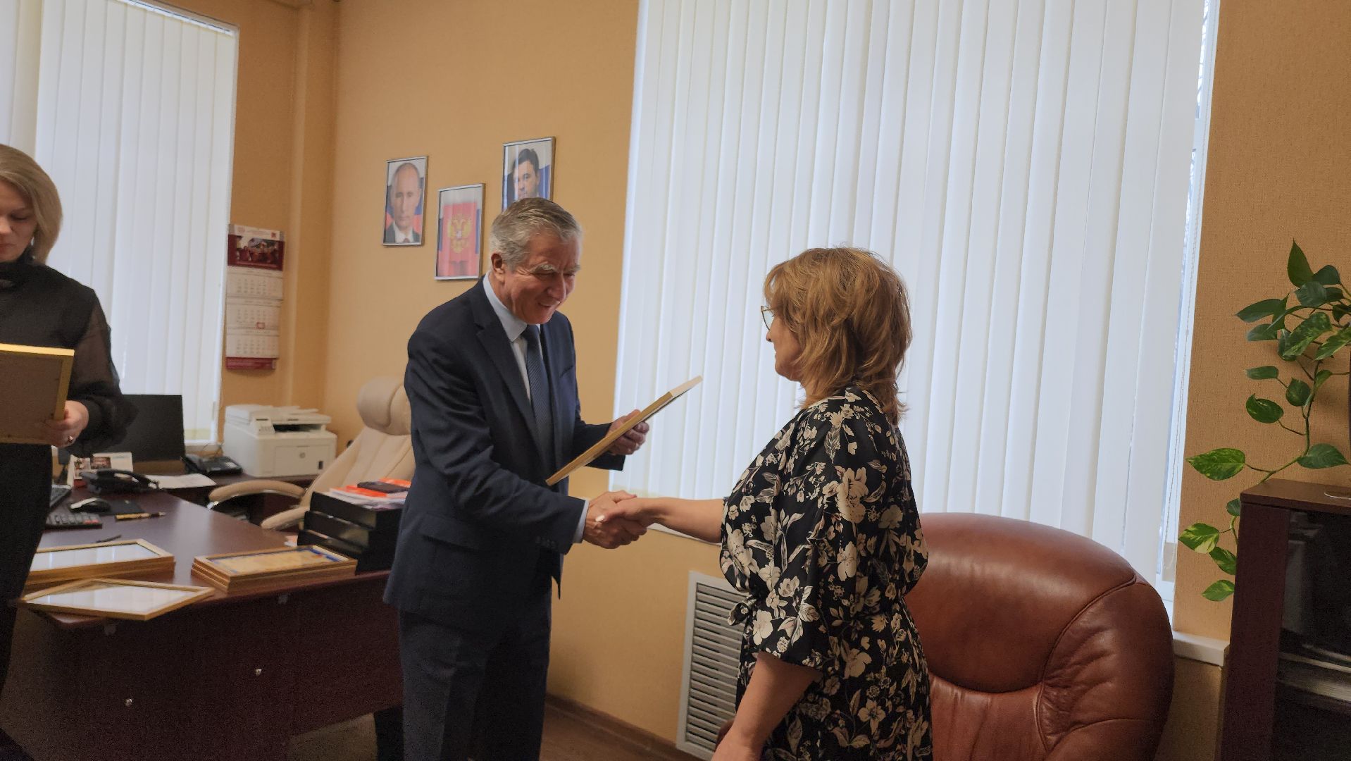 Егорьевск, мурал, Подмосковье, Московская область, Матрена Вольская,