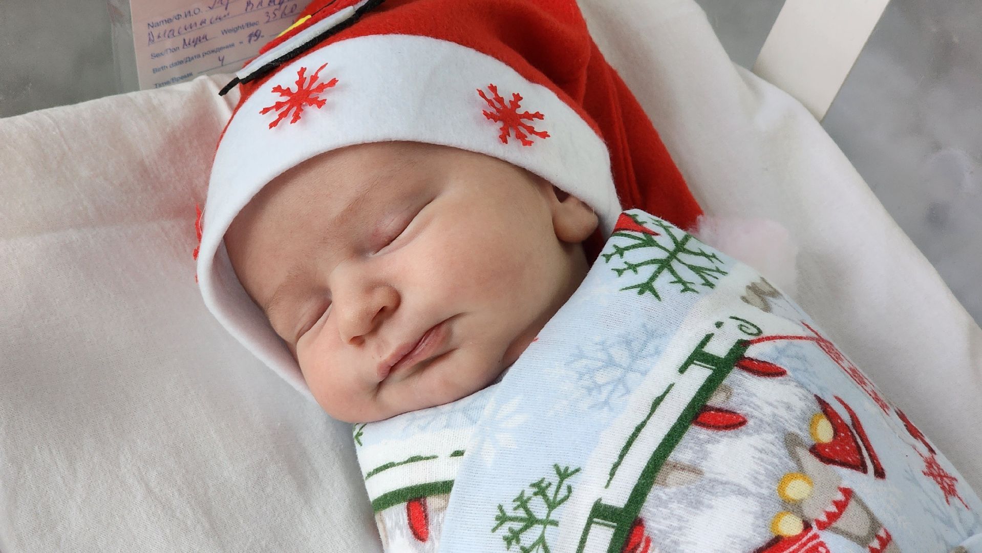 Солнечногорск, вертикалки, роддом, фотосессия, ньюборн,