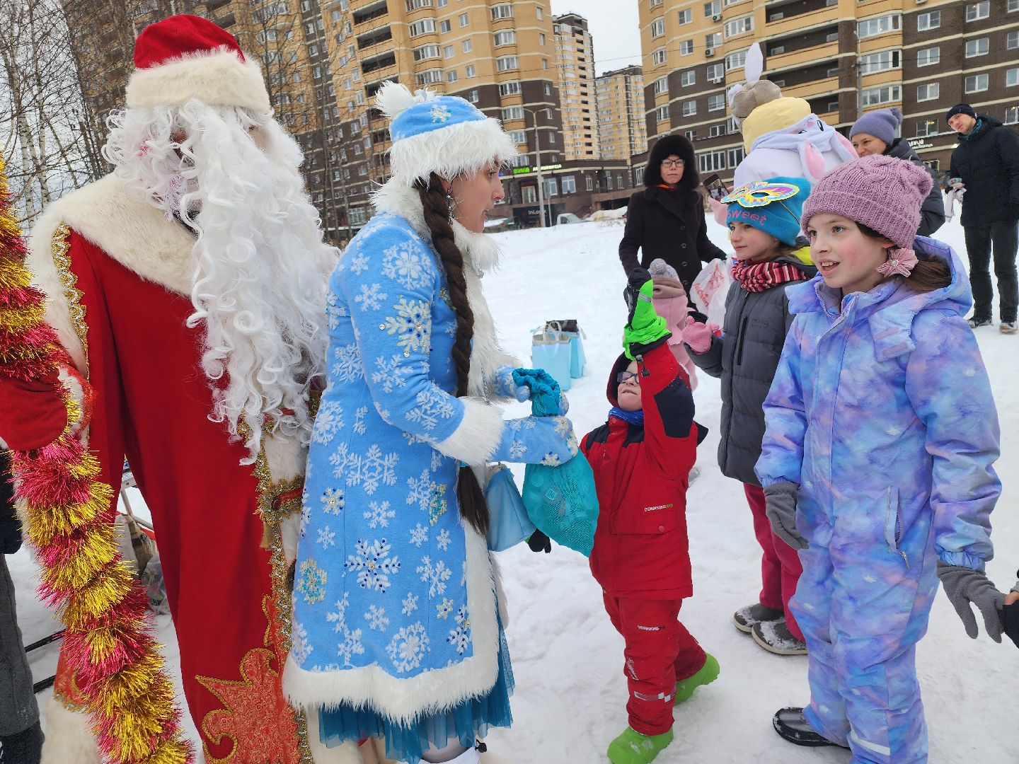 долгопрудный, новые водники, рсо, экология, дед мороз и снегурочка, экощипцы,