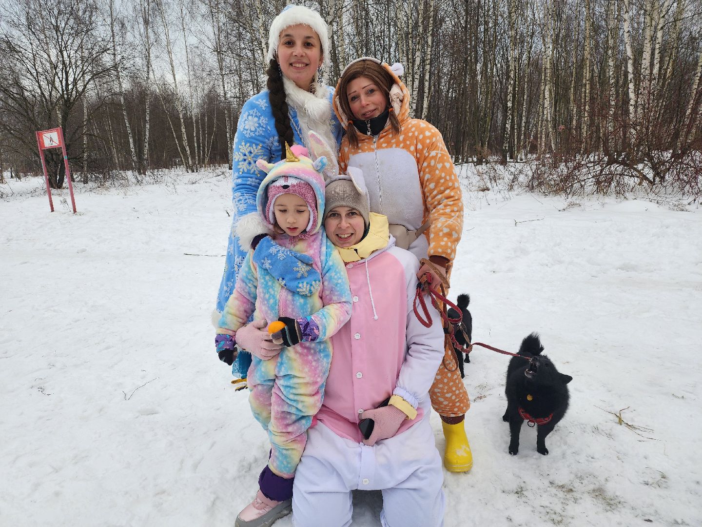 долгопрудный, новые водники, рсо, экология, дед мороз и снегурочка, экощипцы,