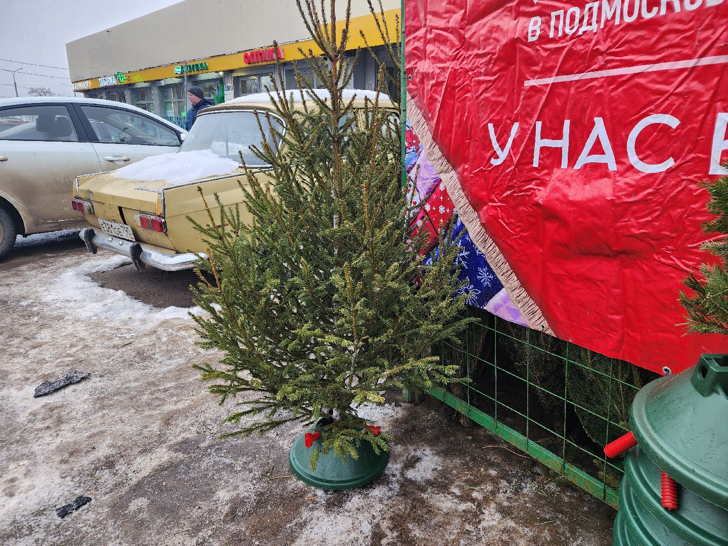 вертикалки, подольск, ели, сосны, новый год,