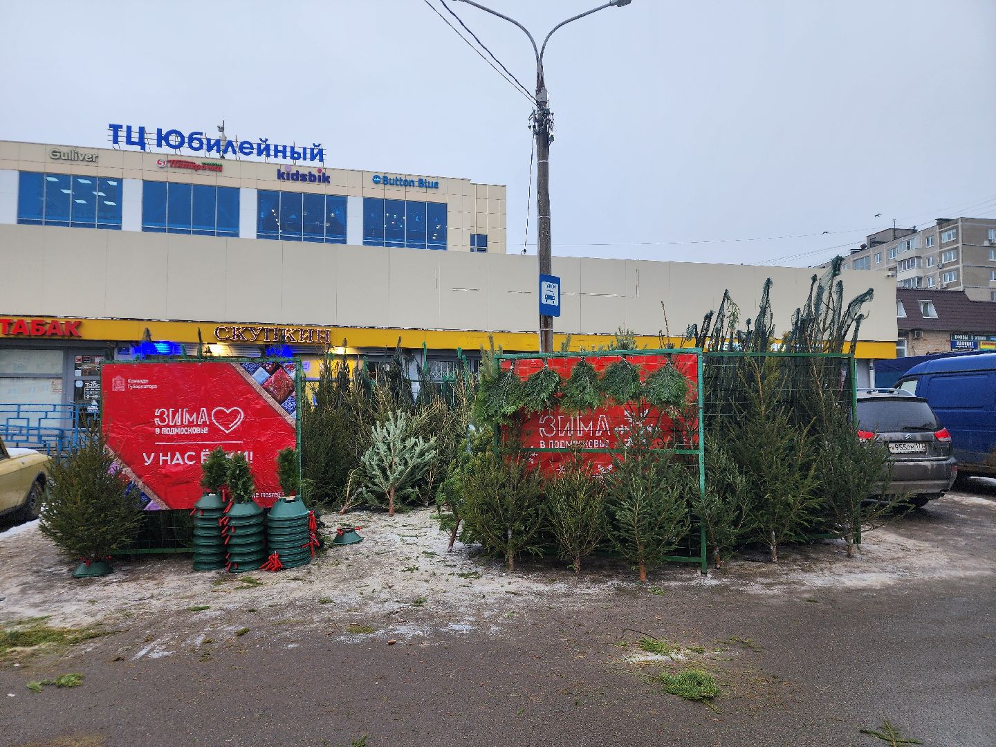 вертикалки, подольск, ели, сосны, новый год,