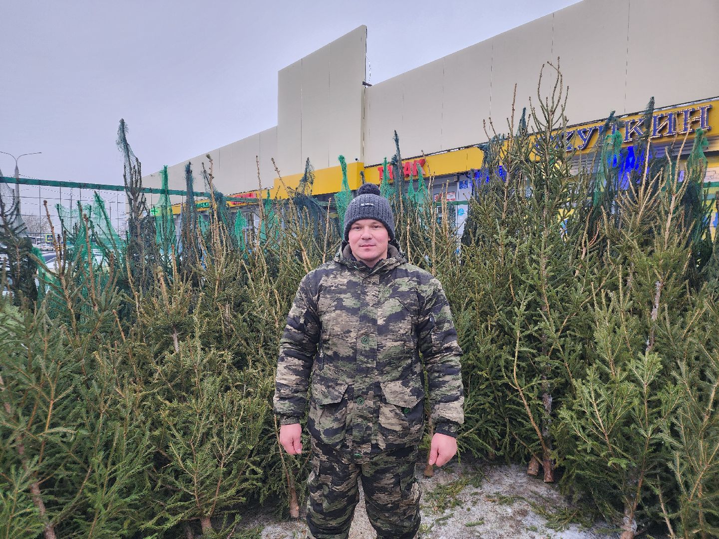 вертикалки, подольск, ели, сосны, новый год,