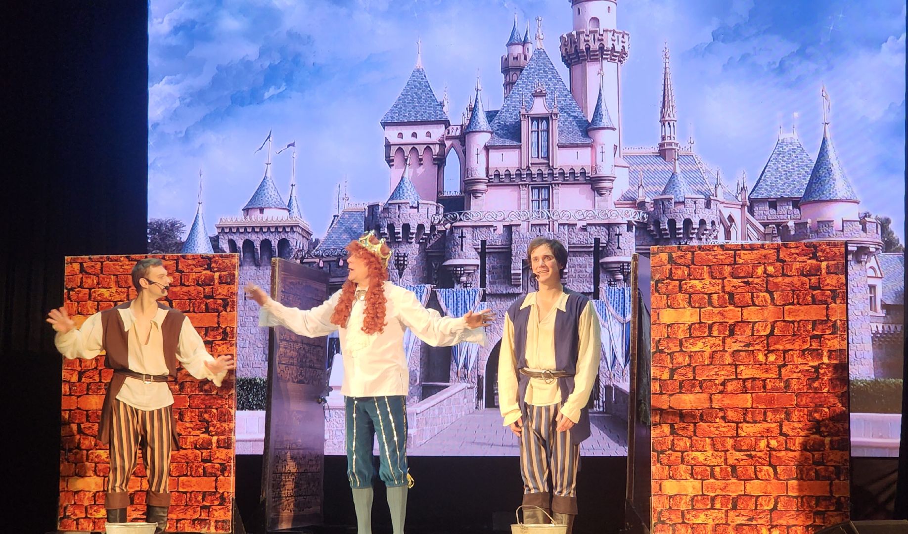 Звенигород, Культура, новогодние праздники, вертикалки,