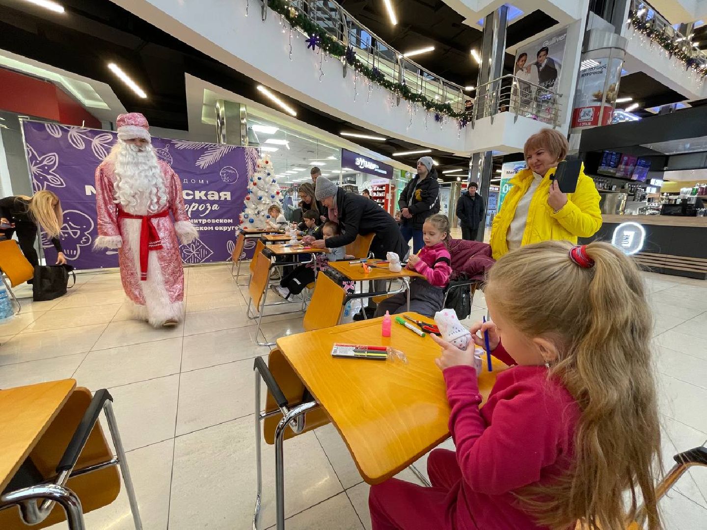 Дмитров, Мастерская Деда Мороза,СВО, вертикалки