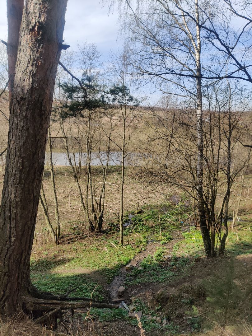 Красноармейск, Пушкинский, родник, благоустройство, Добродел