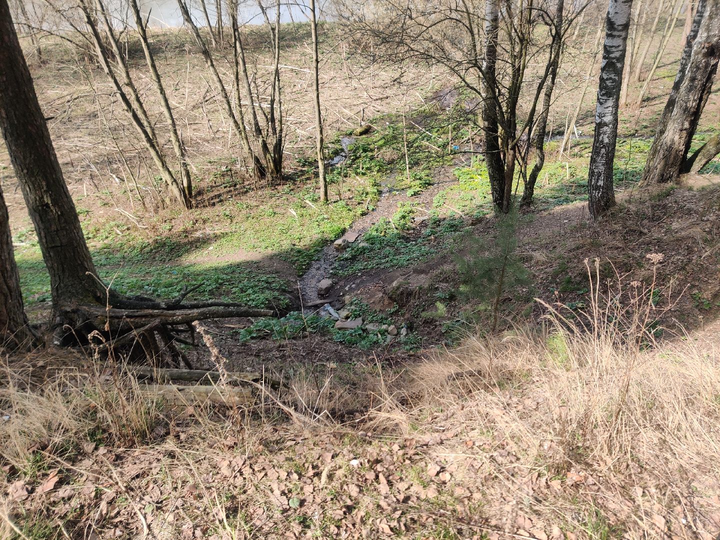 Красноармейск, Пушкинский, родник, благоустройство, Добродел