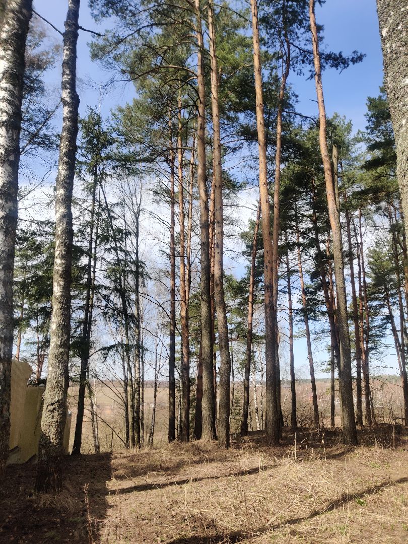 Красноармейск, Пушкинский, родник, благоустройство, Добродел