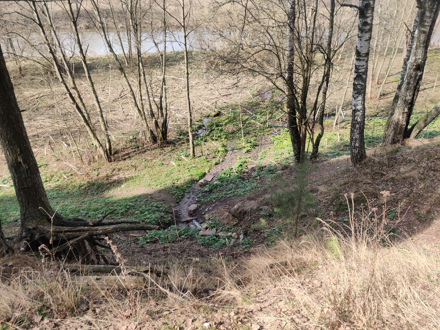 Красноармейск, Пушкинский, родник, благоустройство, Добродел