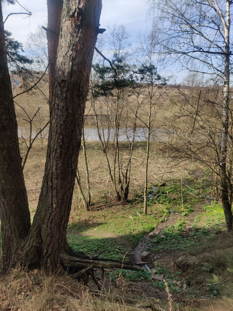 Красноармейск, Пушкинский, родник, благоустройство, Добродел