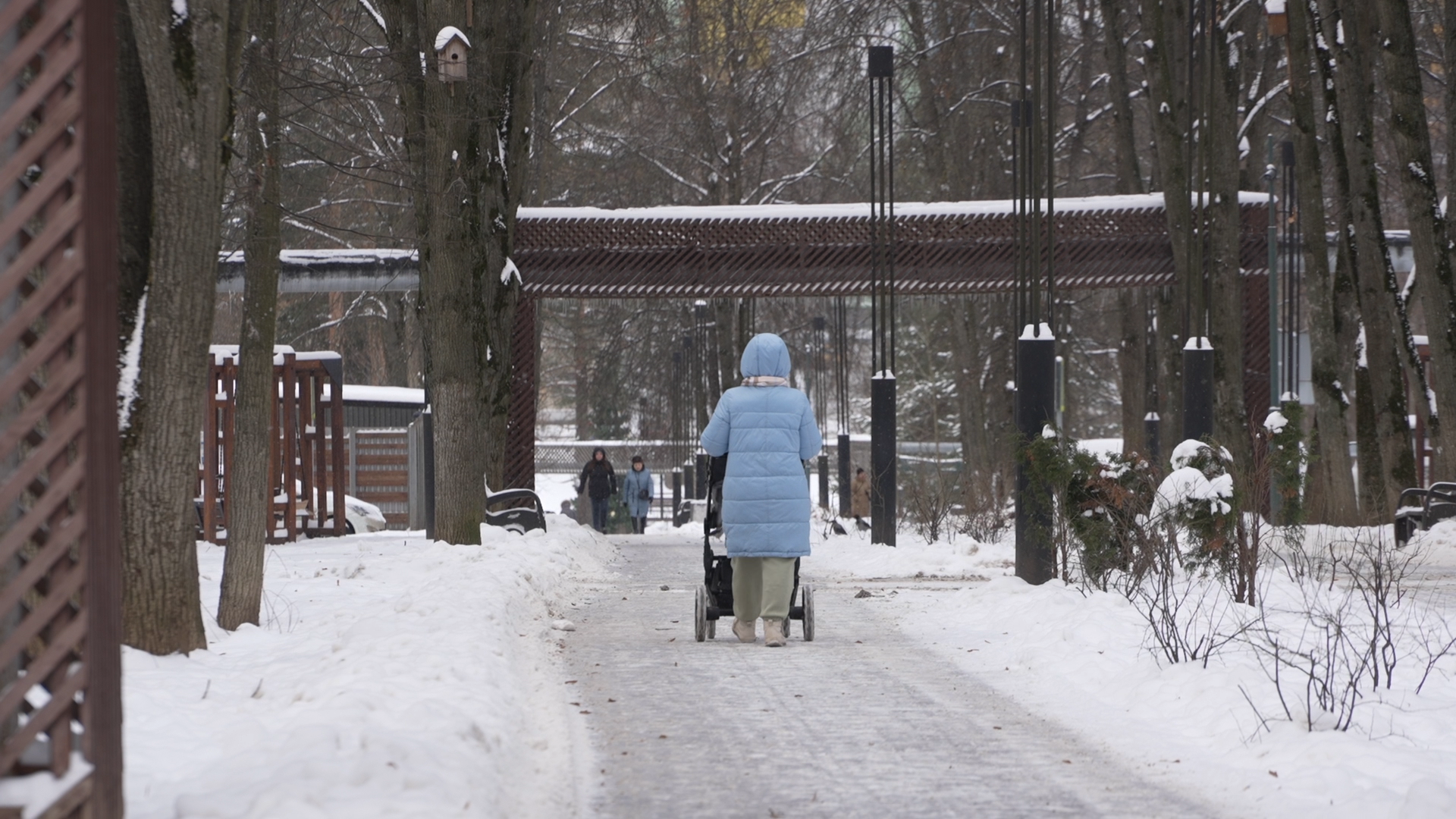 Зима во Власихе, зимние виды спорта, каток во Власихе, катание на коньках, Власиха новый каток,