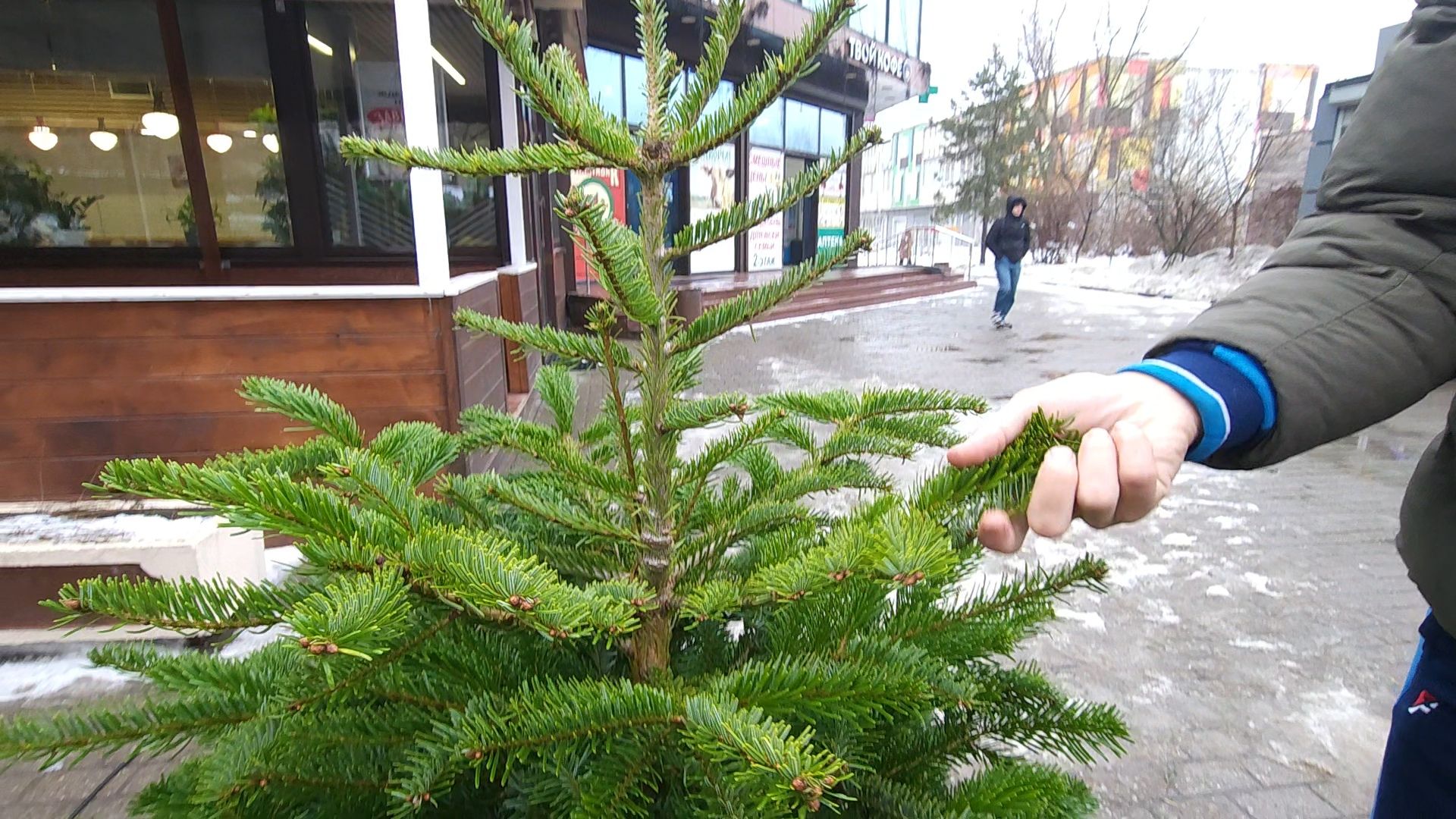 Одинцово, новый год, елки, вертикалки,