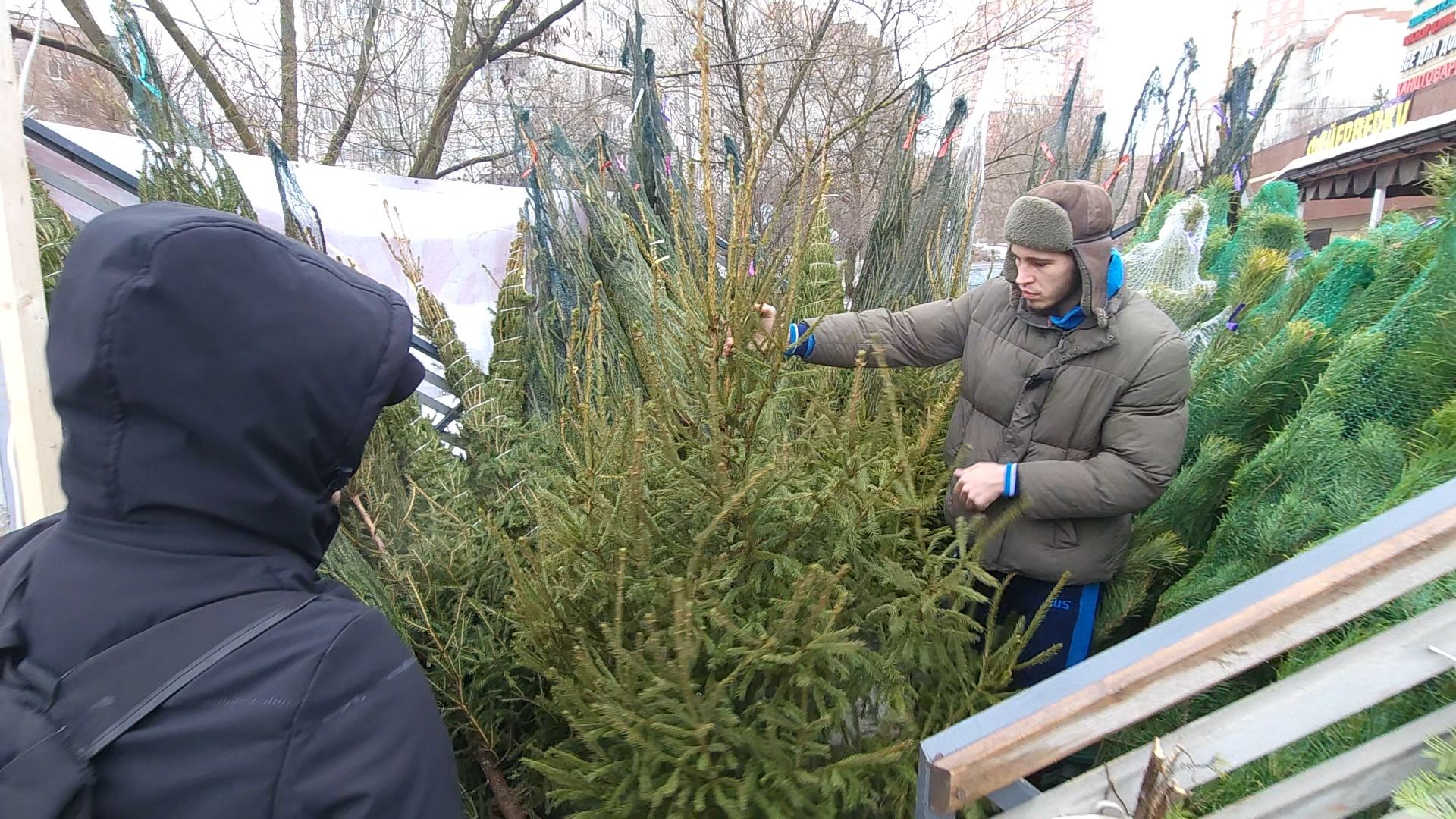 Одинцово, новый год, елки, вертикалки,