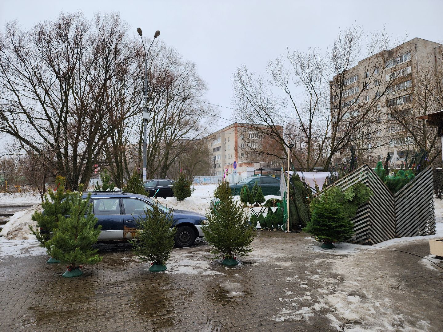 Одинцово, новый год, елки, вертикалки,