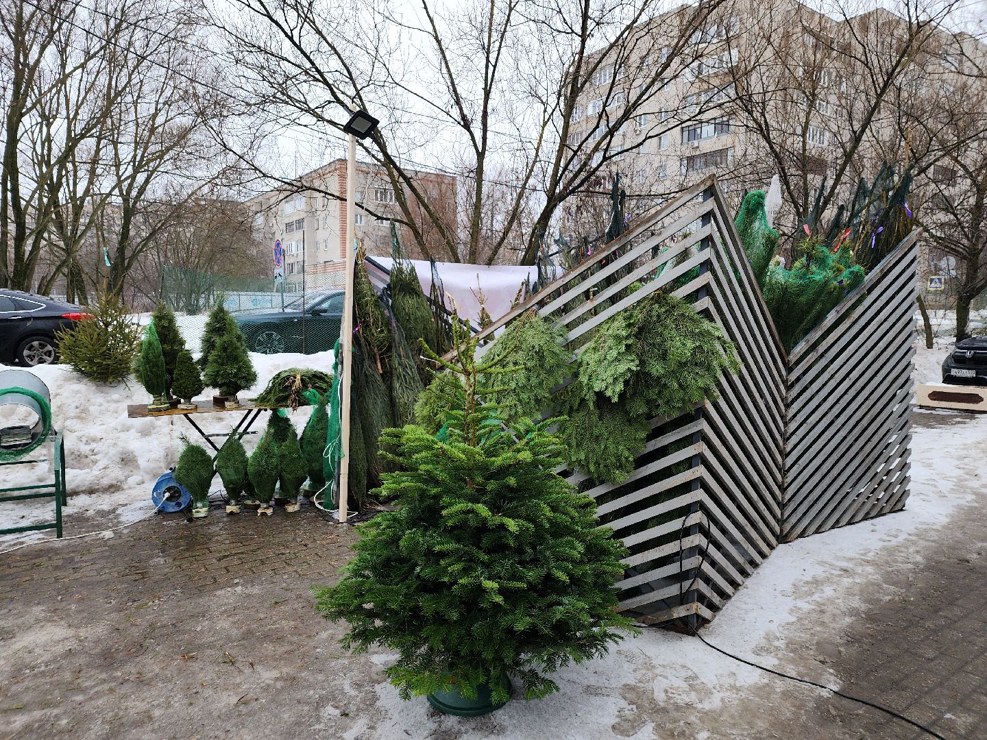 Одинцово, новый год, елки, вертикалки,